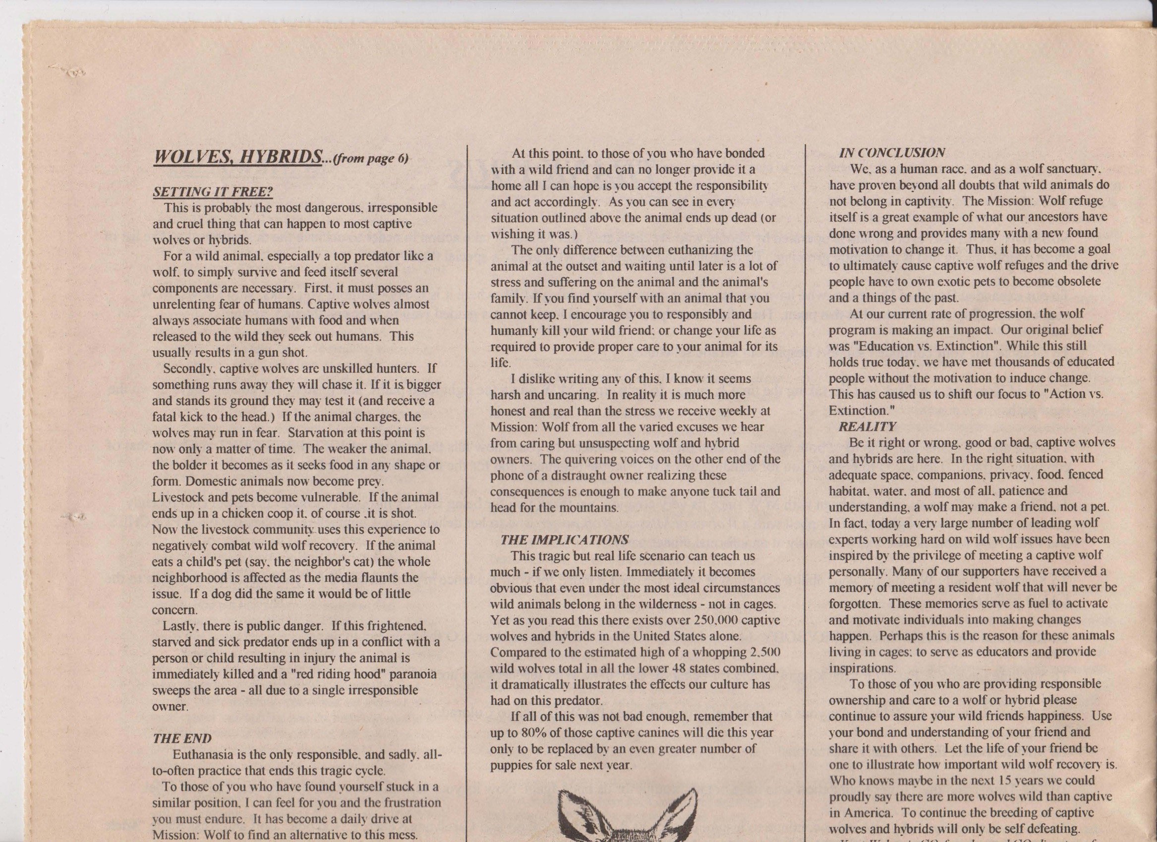 Wolf-Visions-1993 47.jpeg