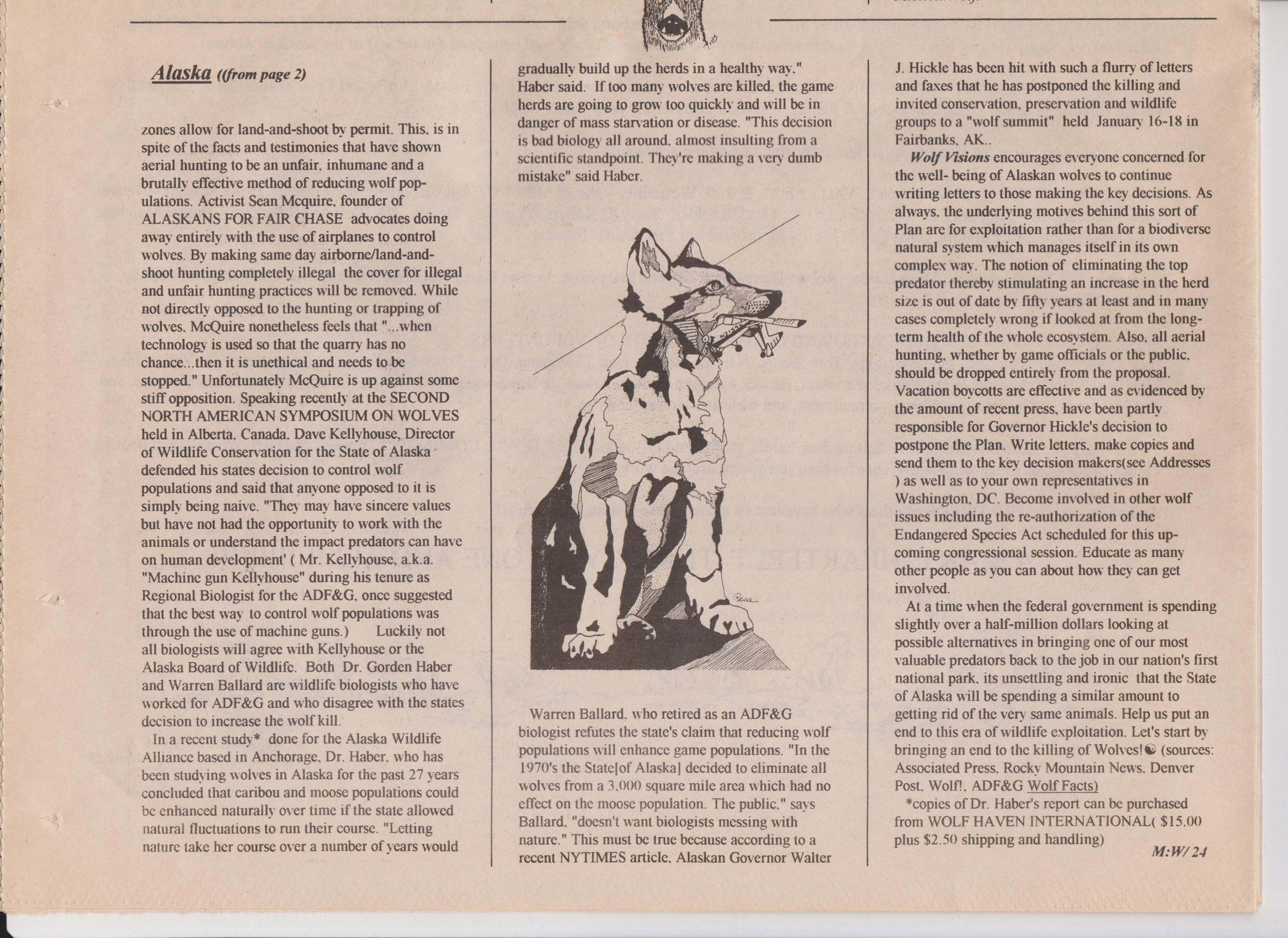 Wolf-Visions-1993 48.jpeg