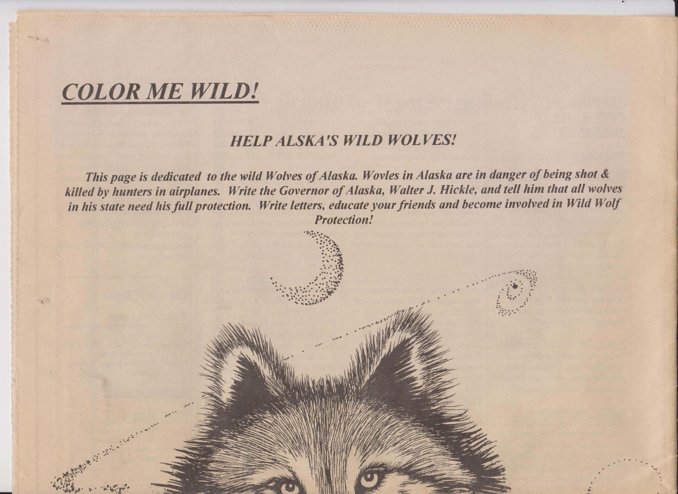 Wolf-Visions-1993 55.jpeg