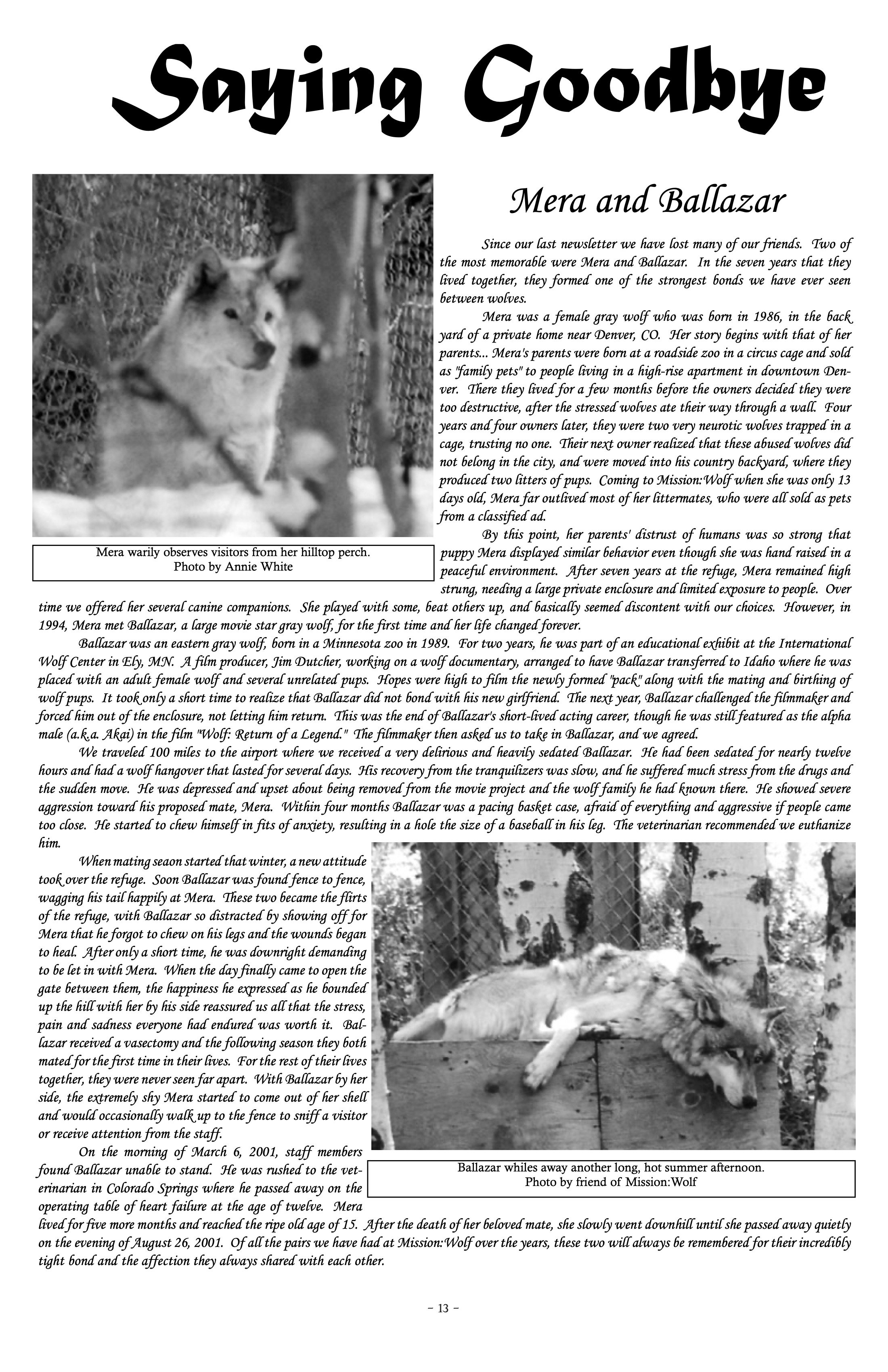 2002-Mission-Wolf-Newsletter 13.jpeg