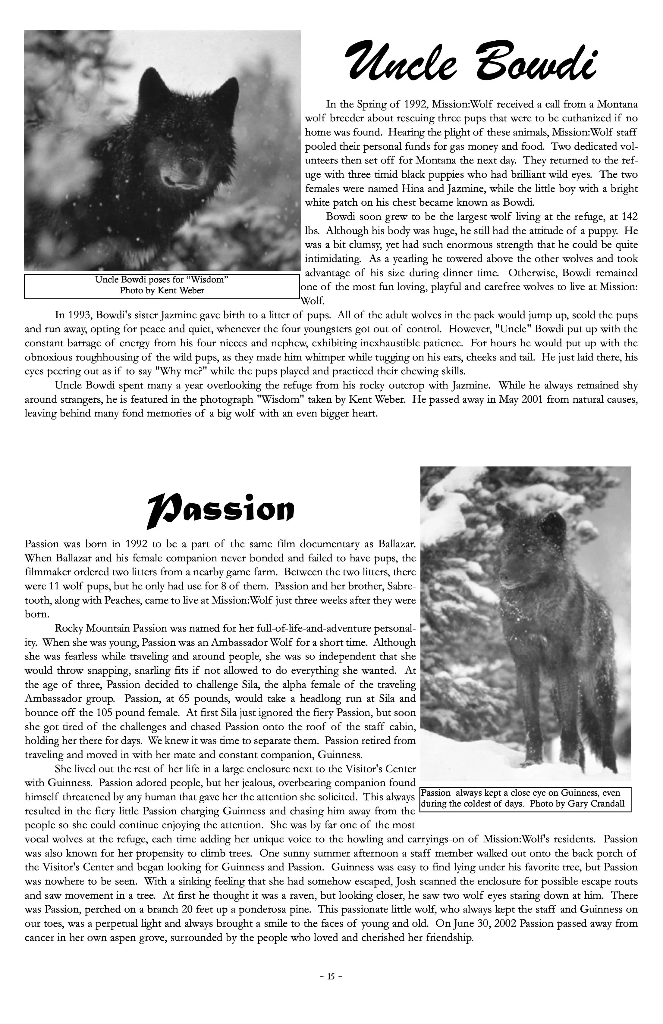 2002-Mission-Wolf-Newsletter 15.jpeg