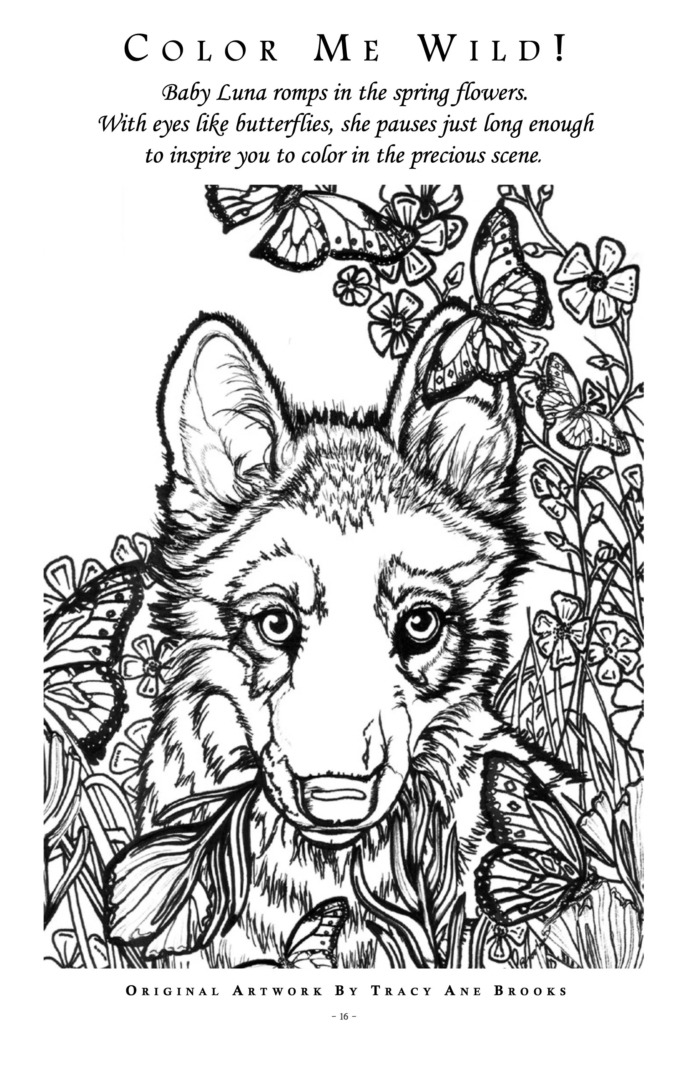 2002-Mission-Wolf-Newsletter 16.jpeg