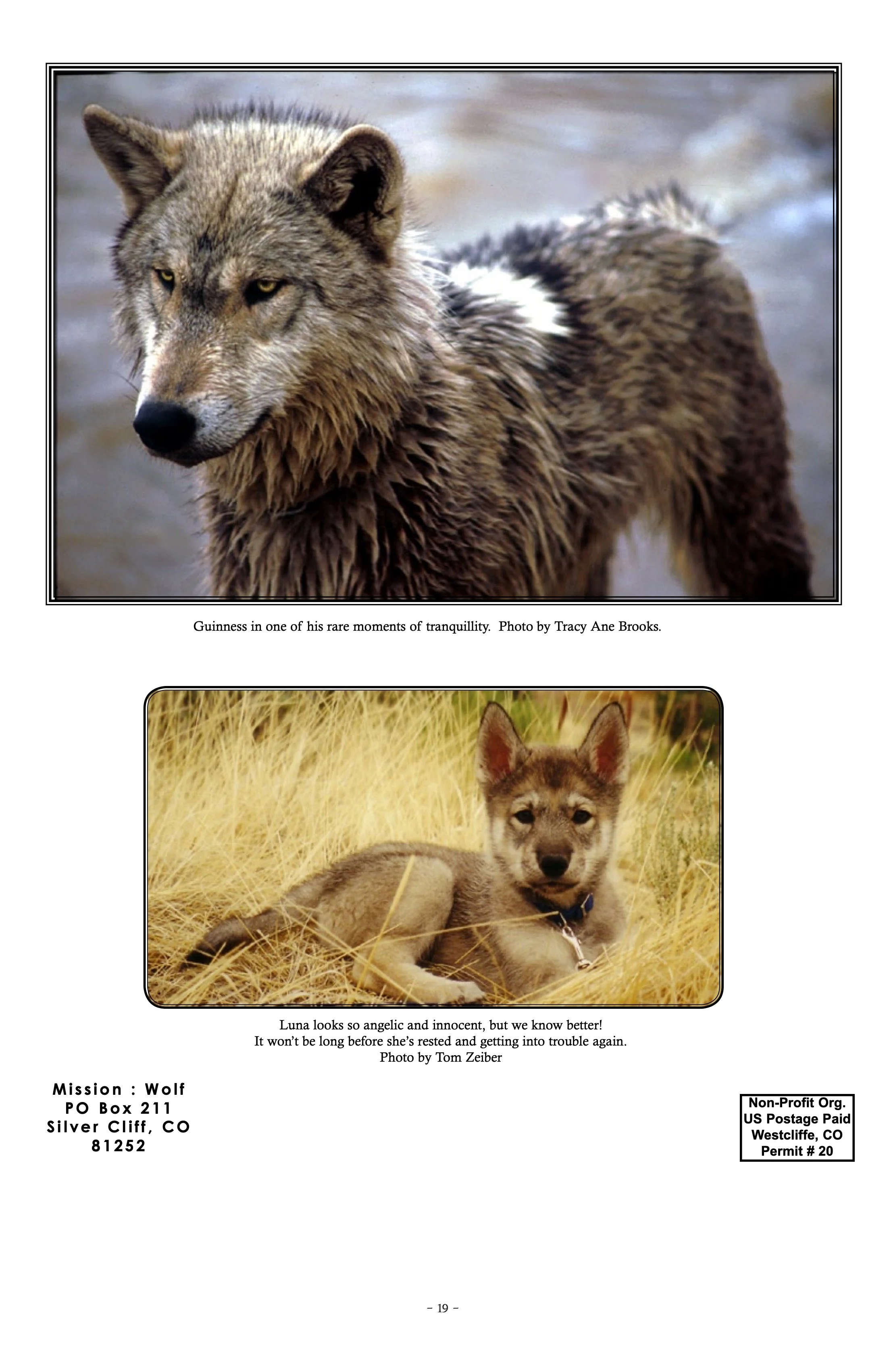 2002-Mission-Wolf-Newsletter 19.jpeg