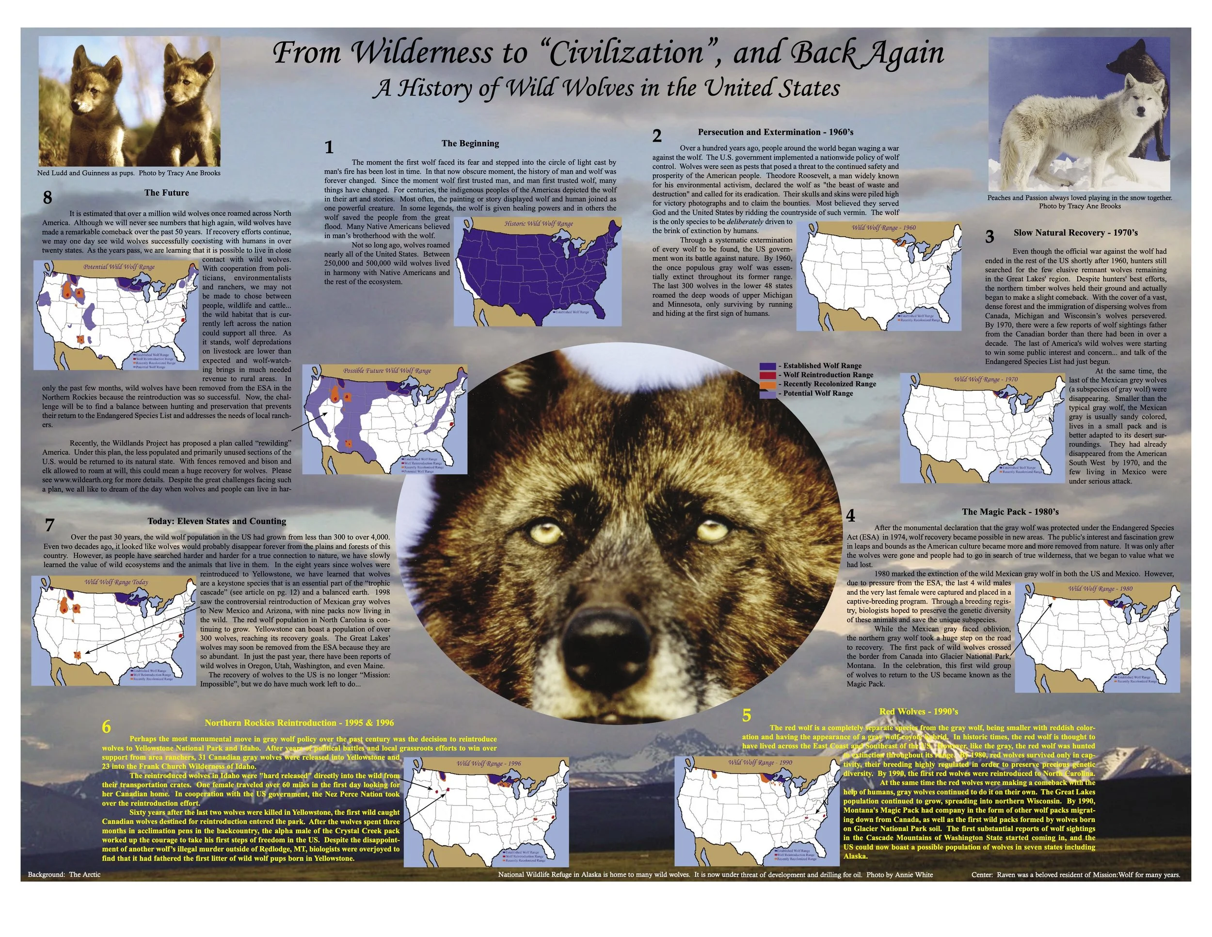 2003-Mission-Wolf-Newsletter 10.jpeg