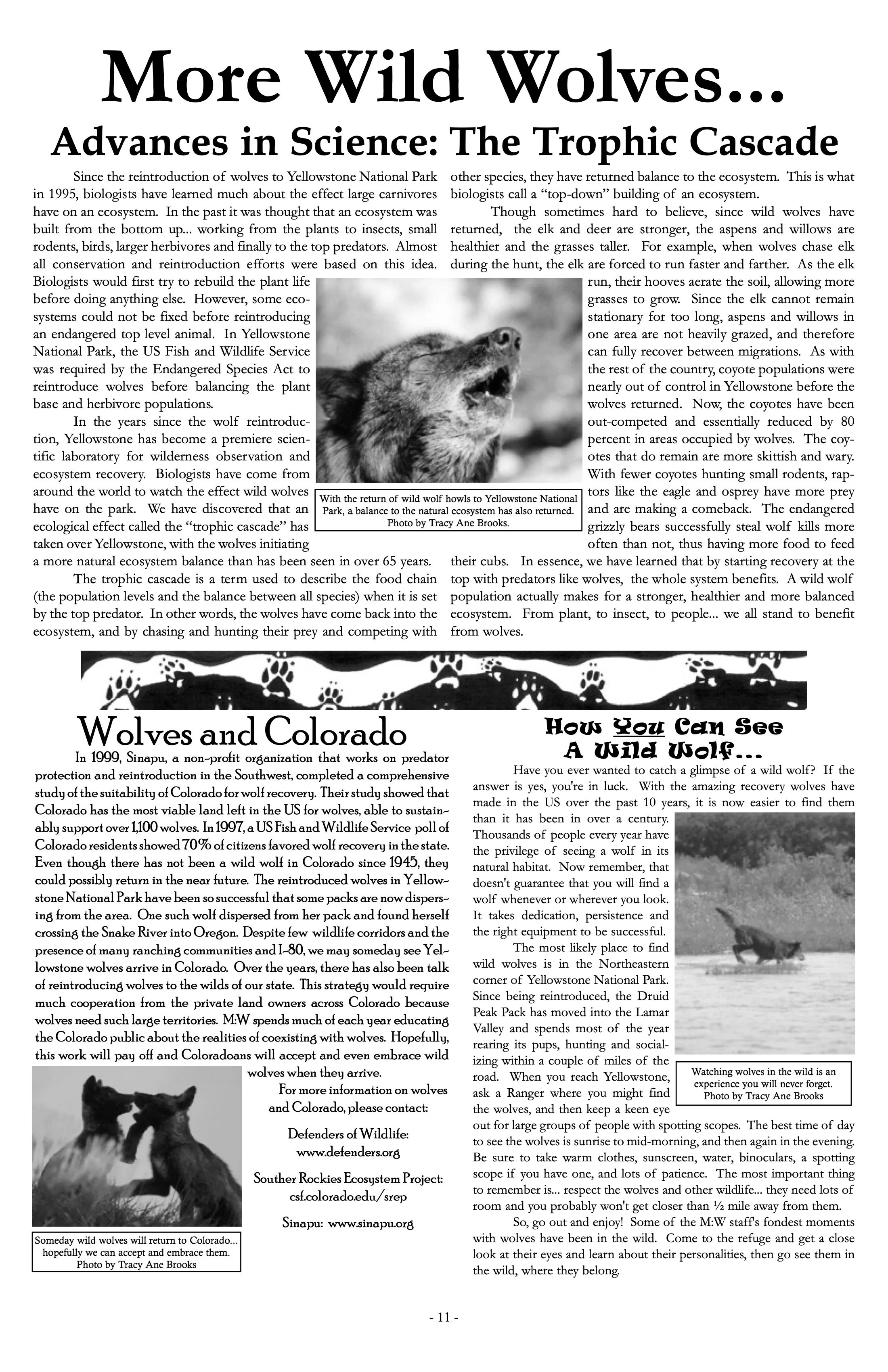 2003-Mission-Wolf-Newsletter 11.jpeg