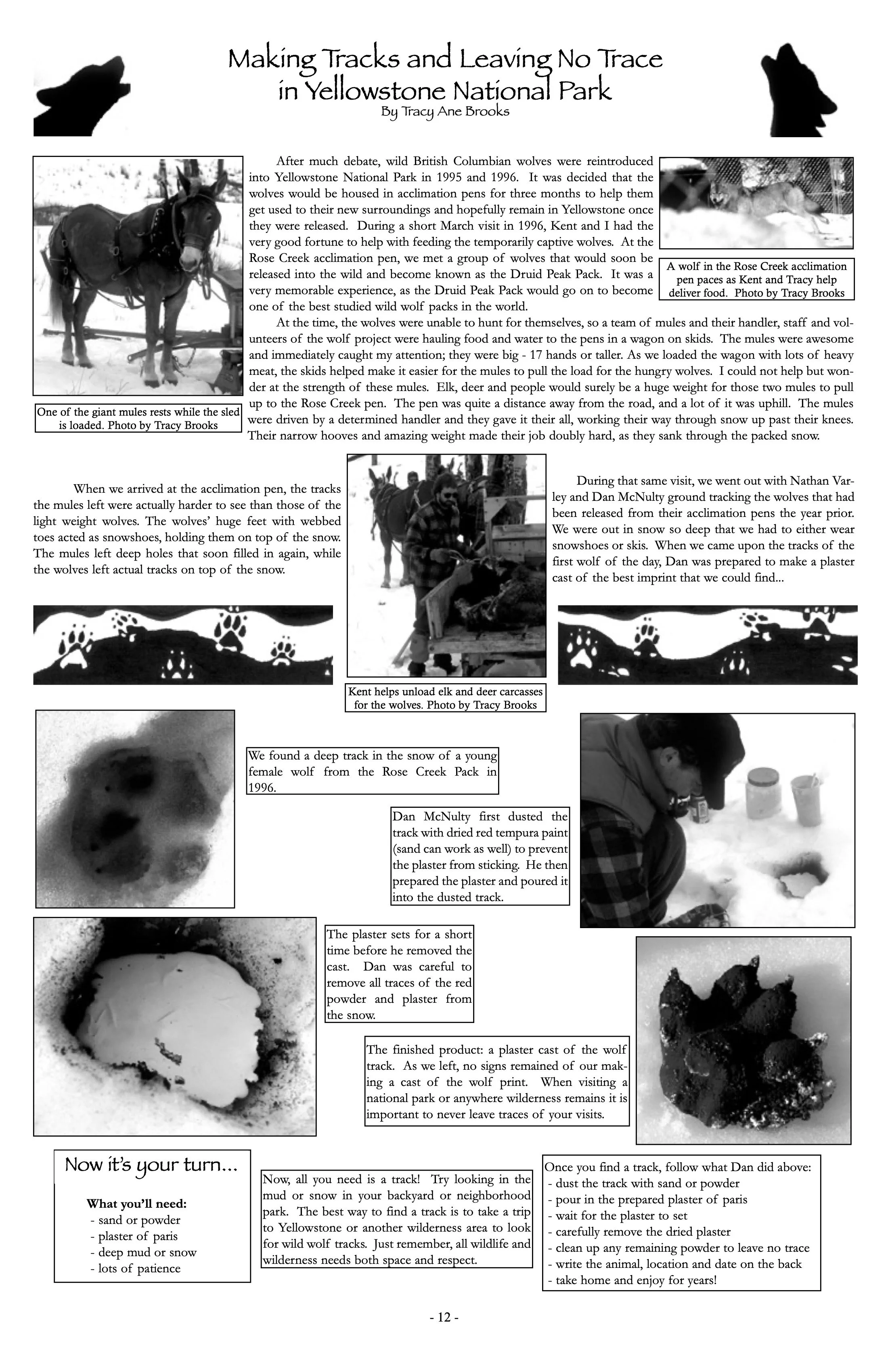 2003-Mission-Wolf-Newsletter 12.jpeg
