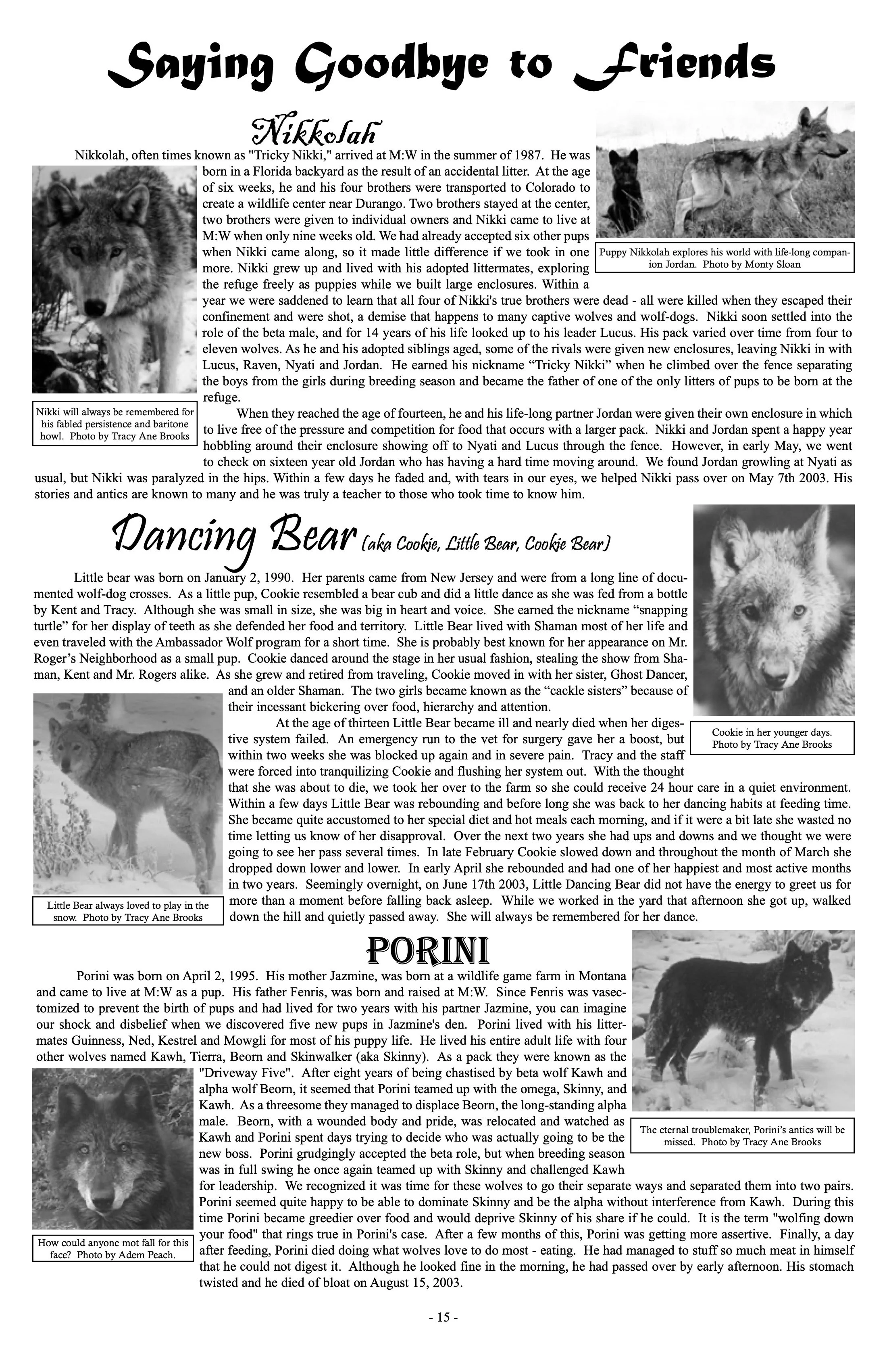 2003-Mission-Wolf-Newsletter 15.jpeg