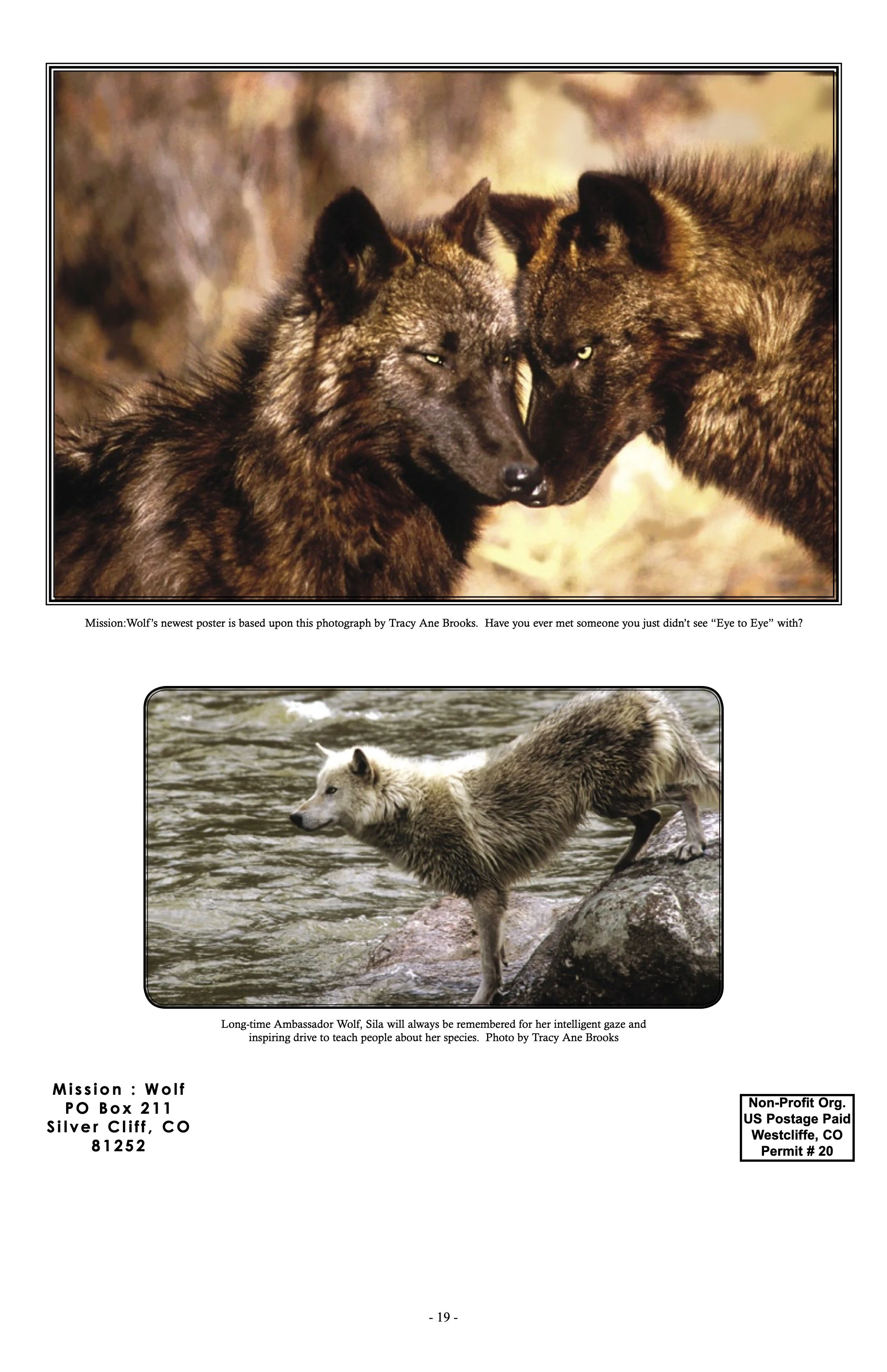 2003-Mission-Wolf-Newsletter 19.jpeg