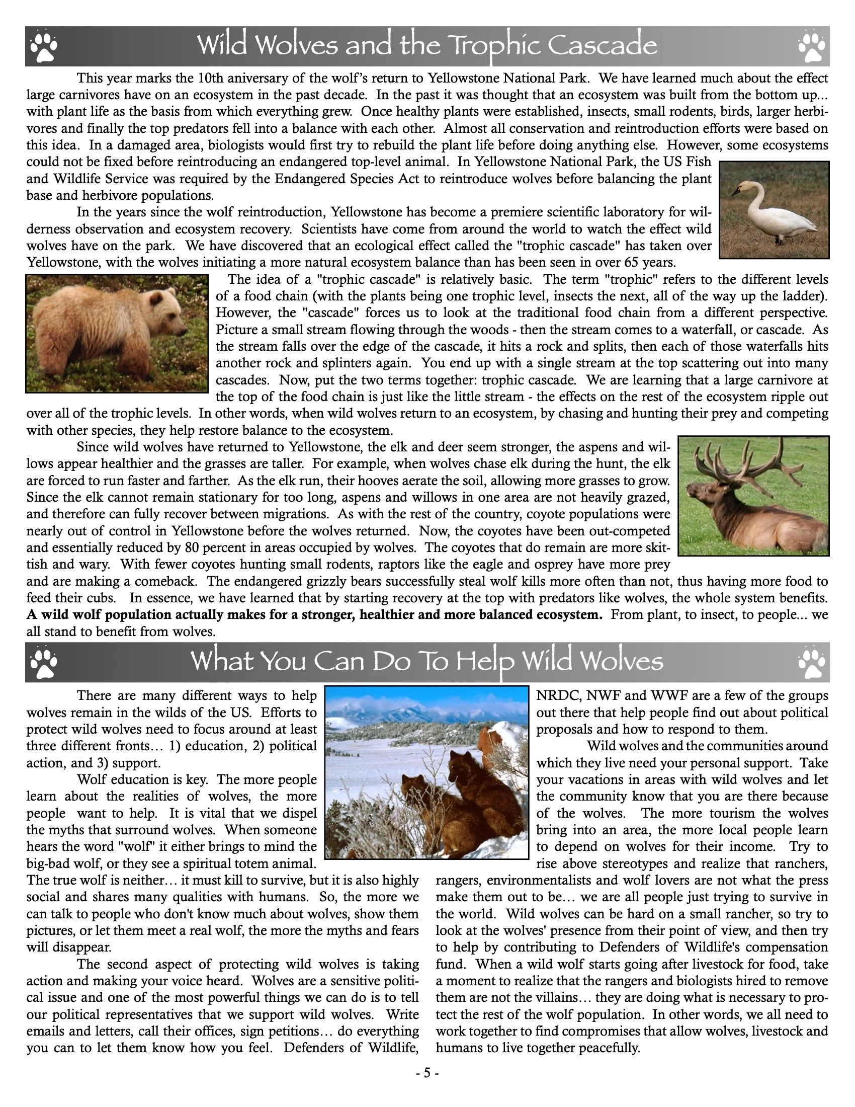2006-Mission-Wolf-Newsletter 5.jpeg