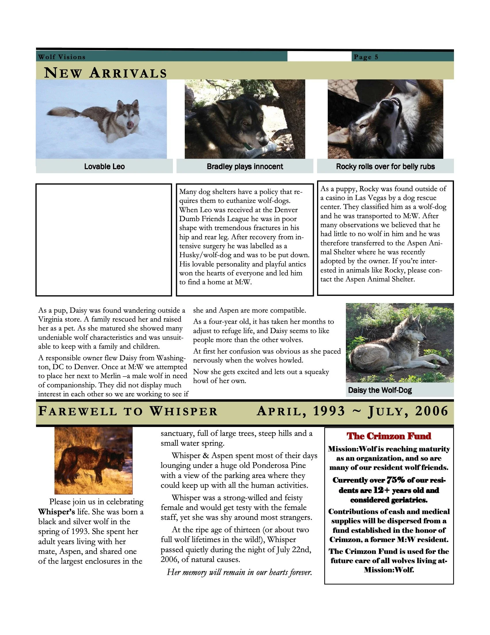 Wolf Visions 2007 5.jpeg