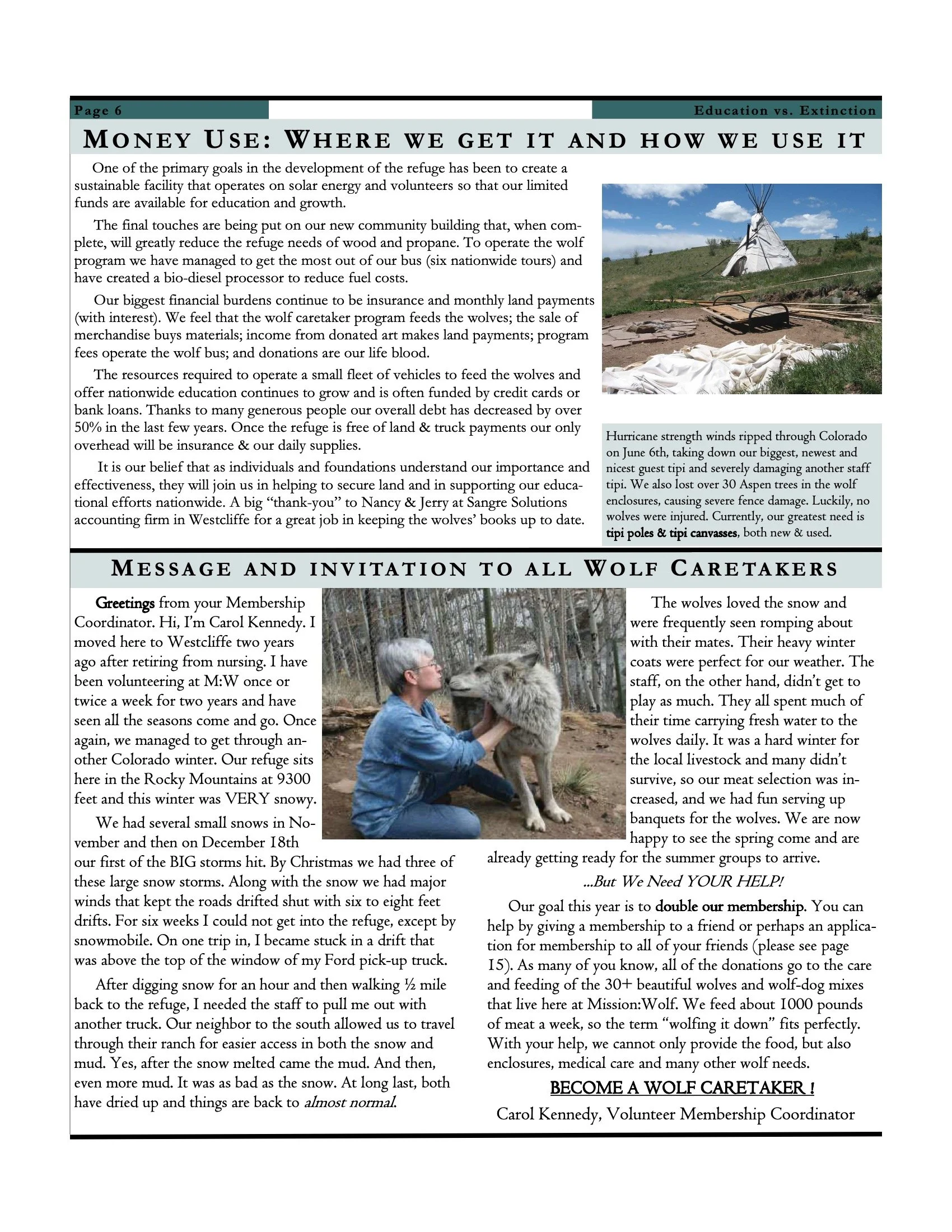 Wolf Visions 2007 6.jpeg