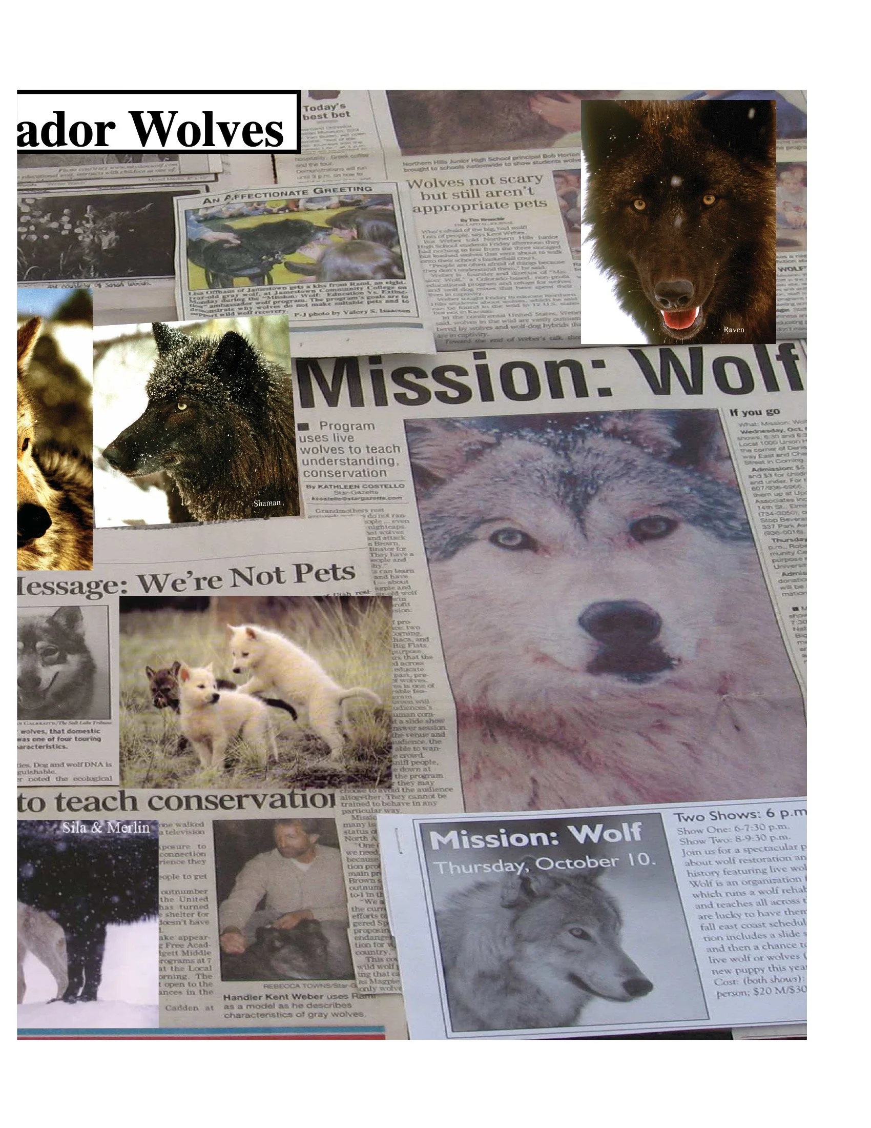 Wolf Visions 2007 9.jpeg