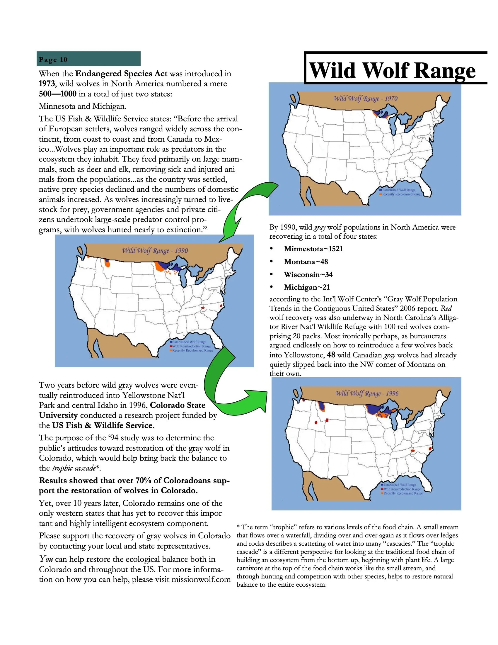 Wolf Visions 2007 10.jpeg