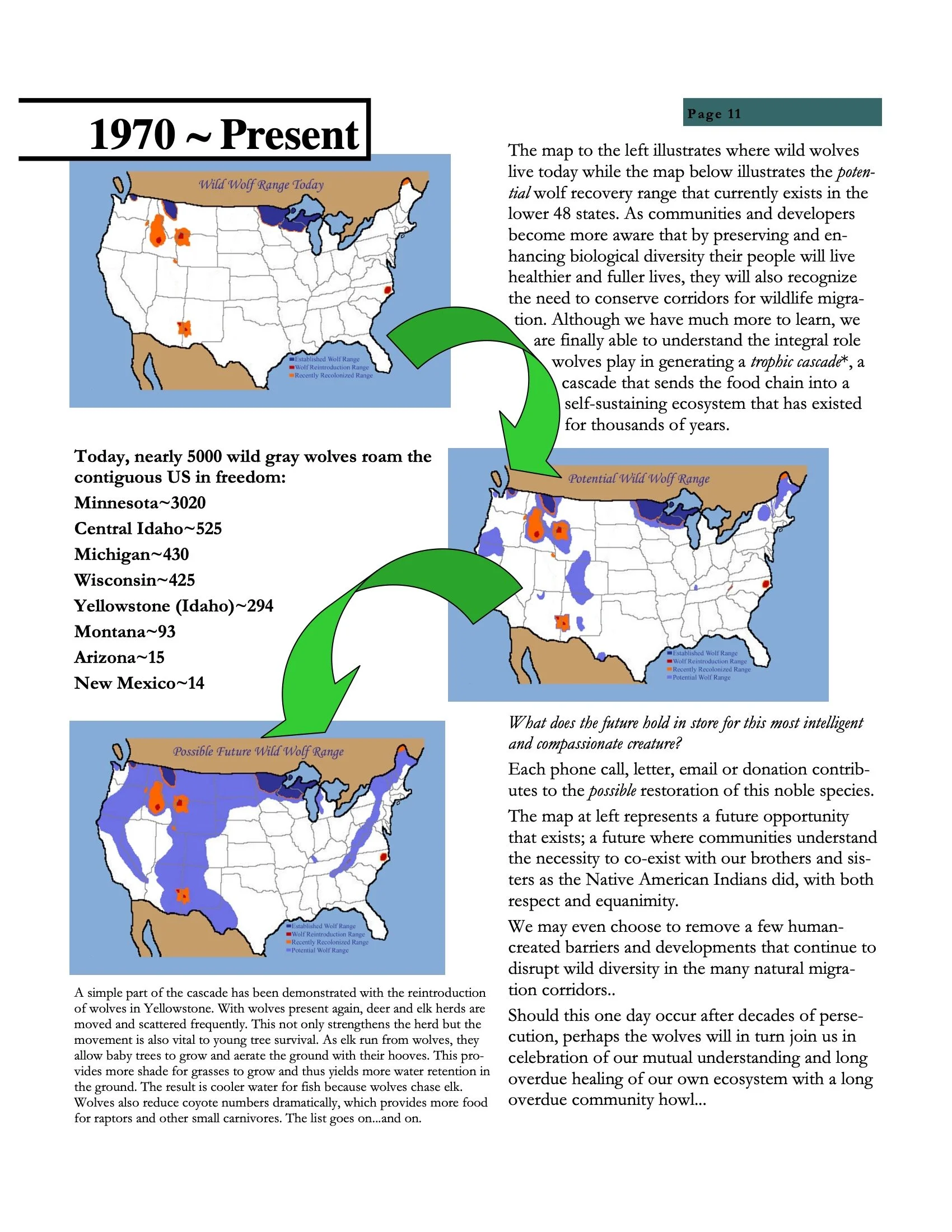 Wolf Visions 2007 11.jpeg