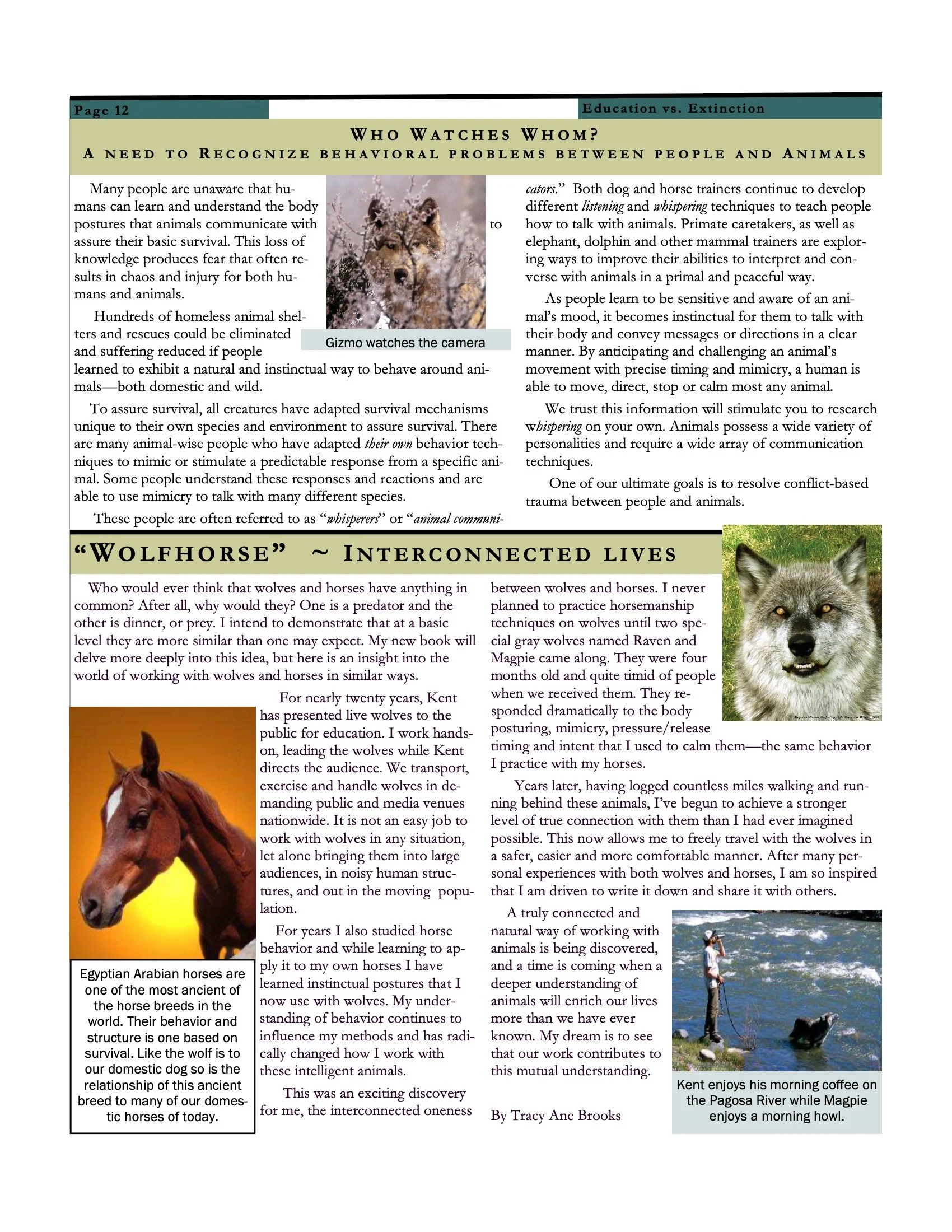 Wolf Visions 2007 12.jpeg