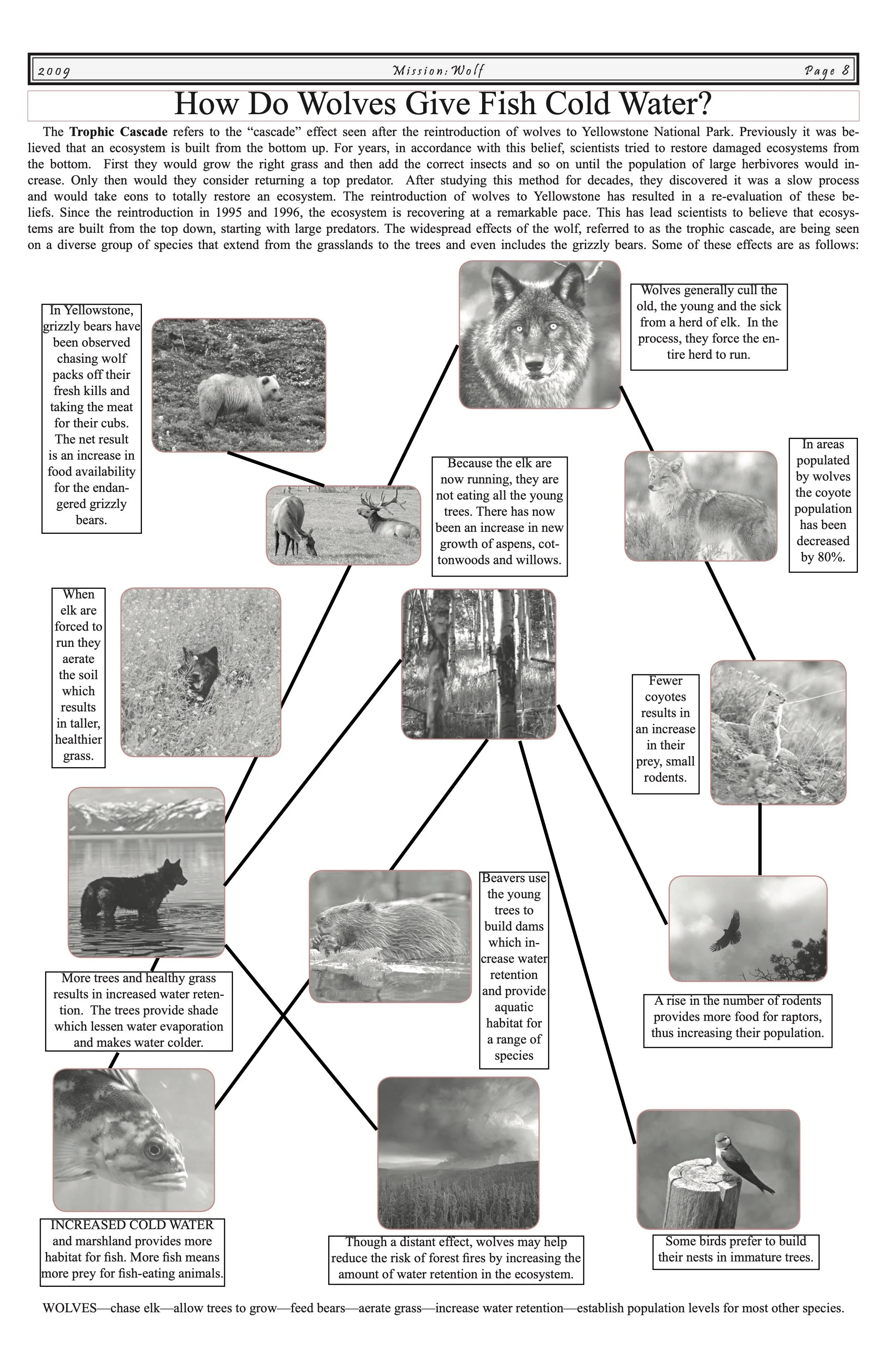 Newsletter-2009 8.jpeg