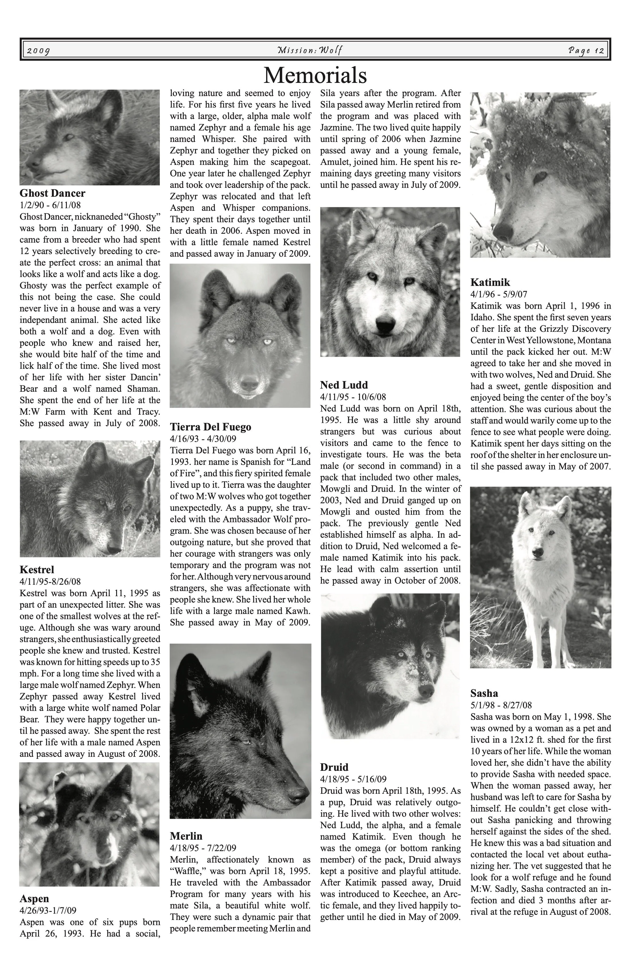 Newsletter-2009 11.jpeg