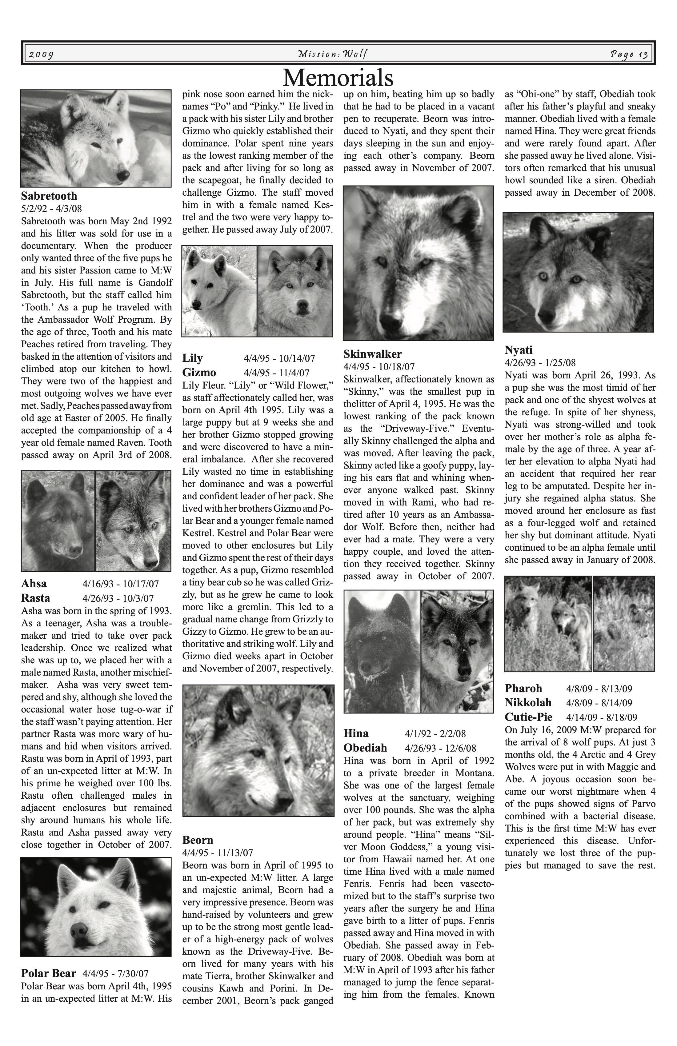 Newsletter-2009 12.jpeg