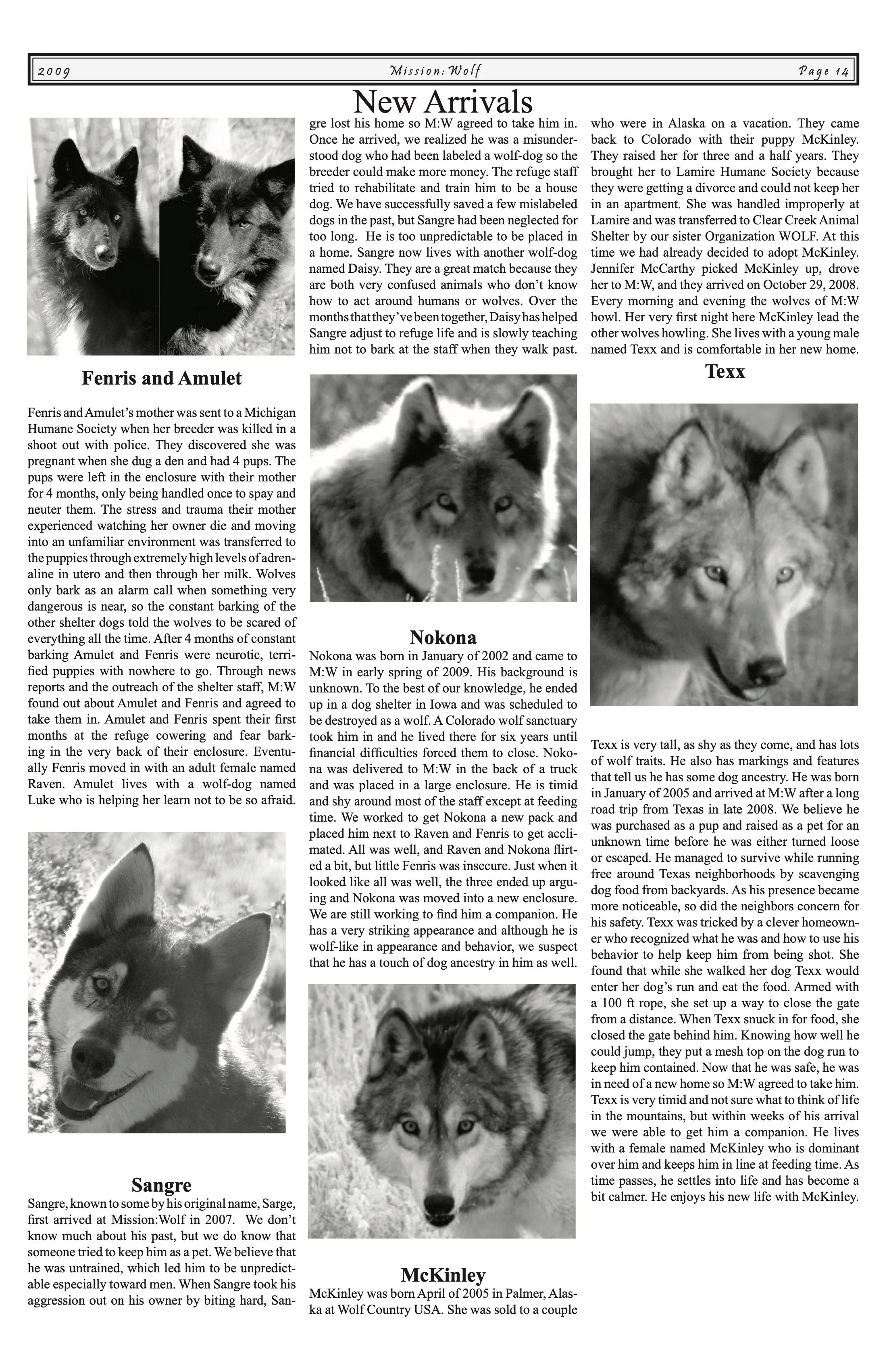 Newsletter-2009 13.jpeg