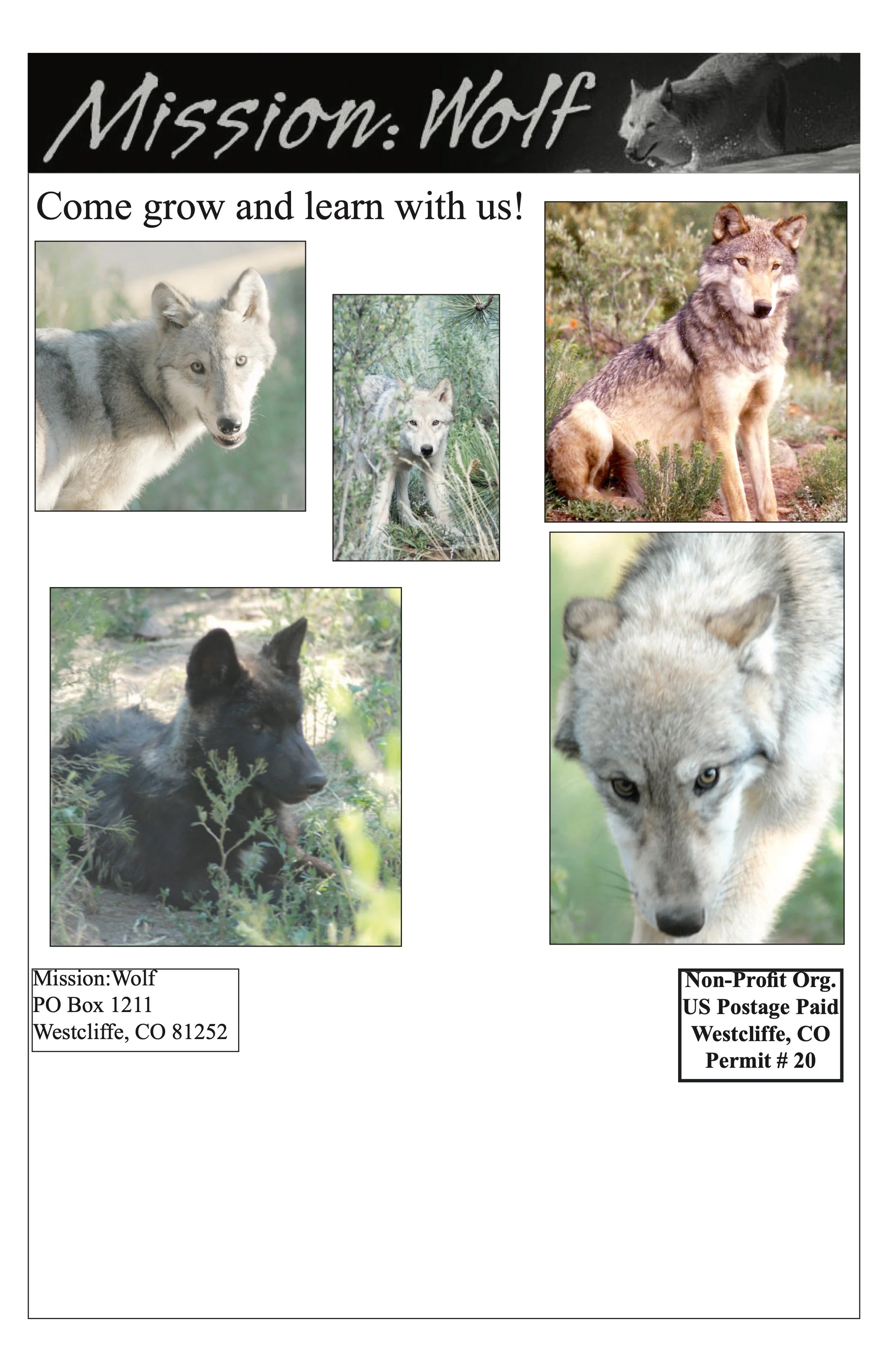 Newsletter-2009 19.jpeg