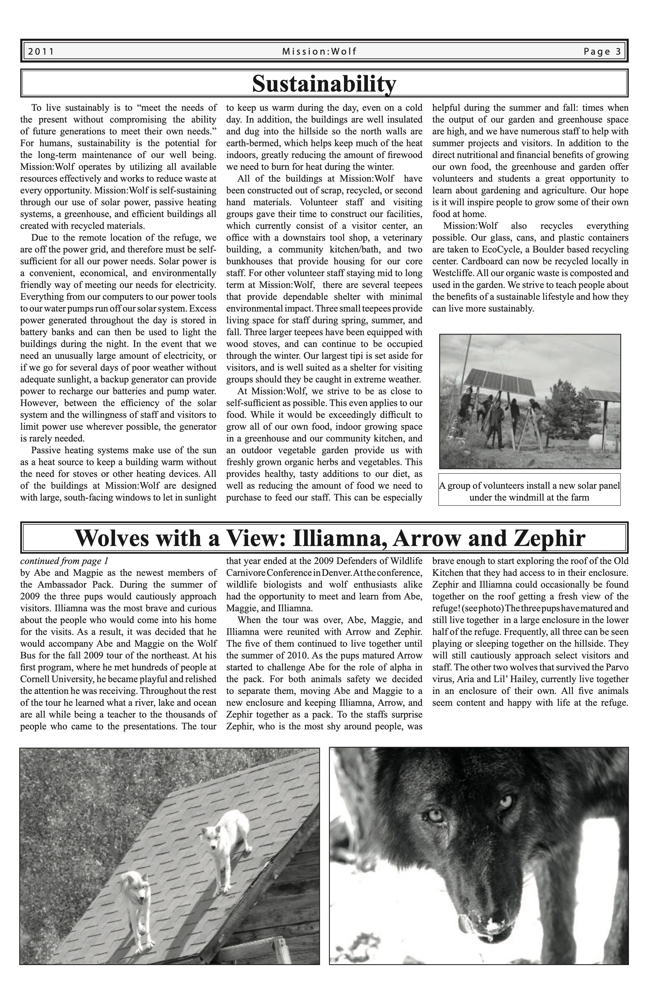 Mission-Wolf-Newsletter-2011 3.jpeg