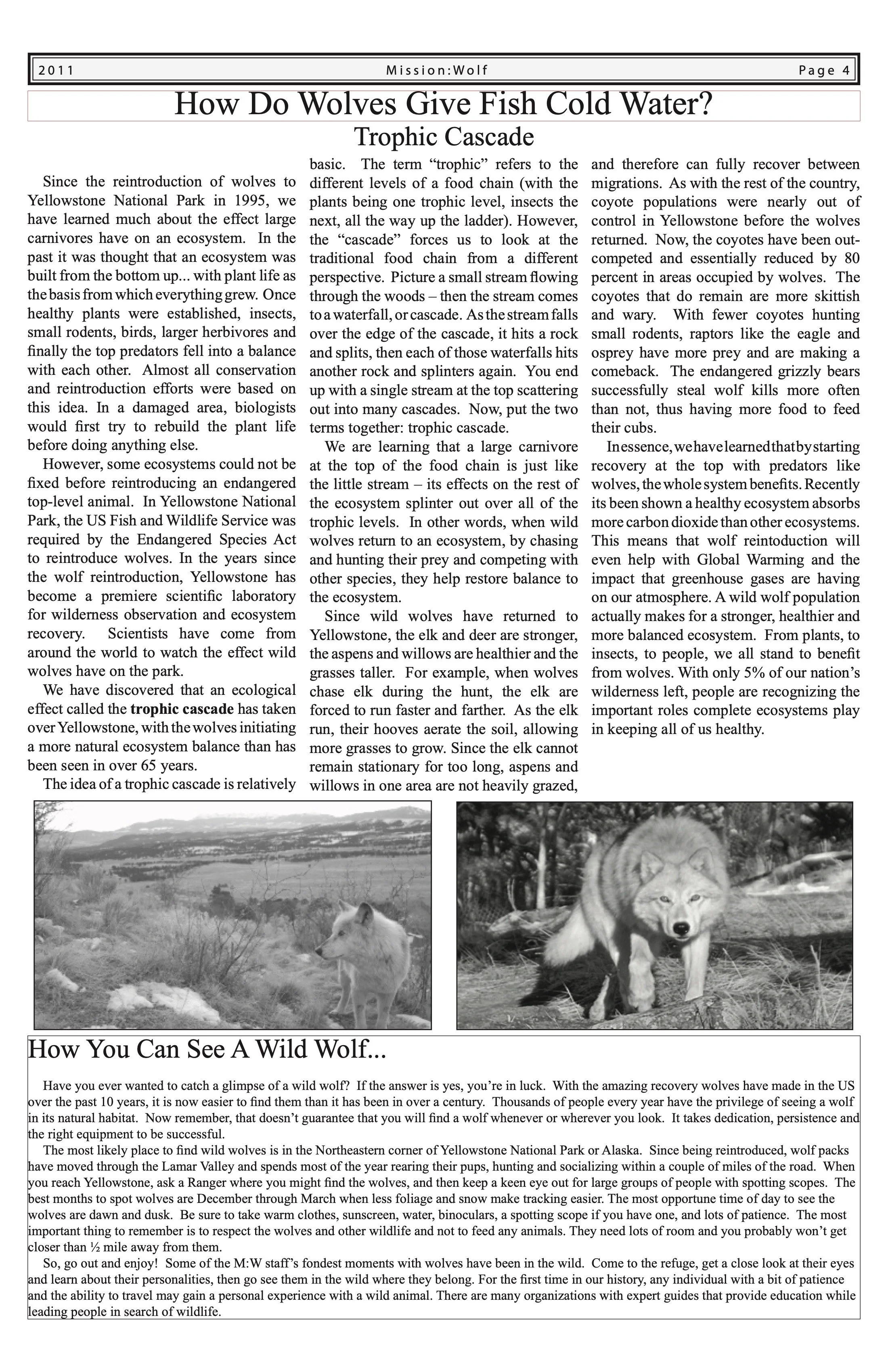 Mission-Wolf-Newsletter-2011 4.jpeg