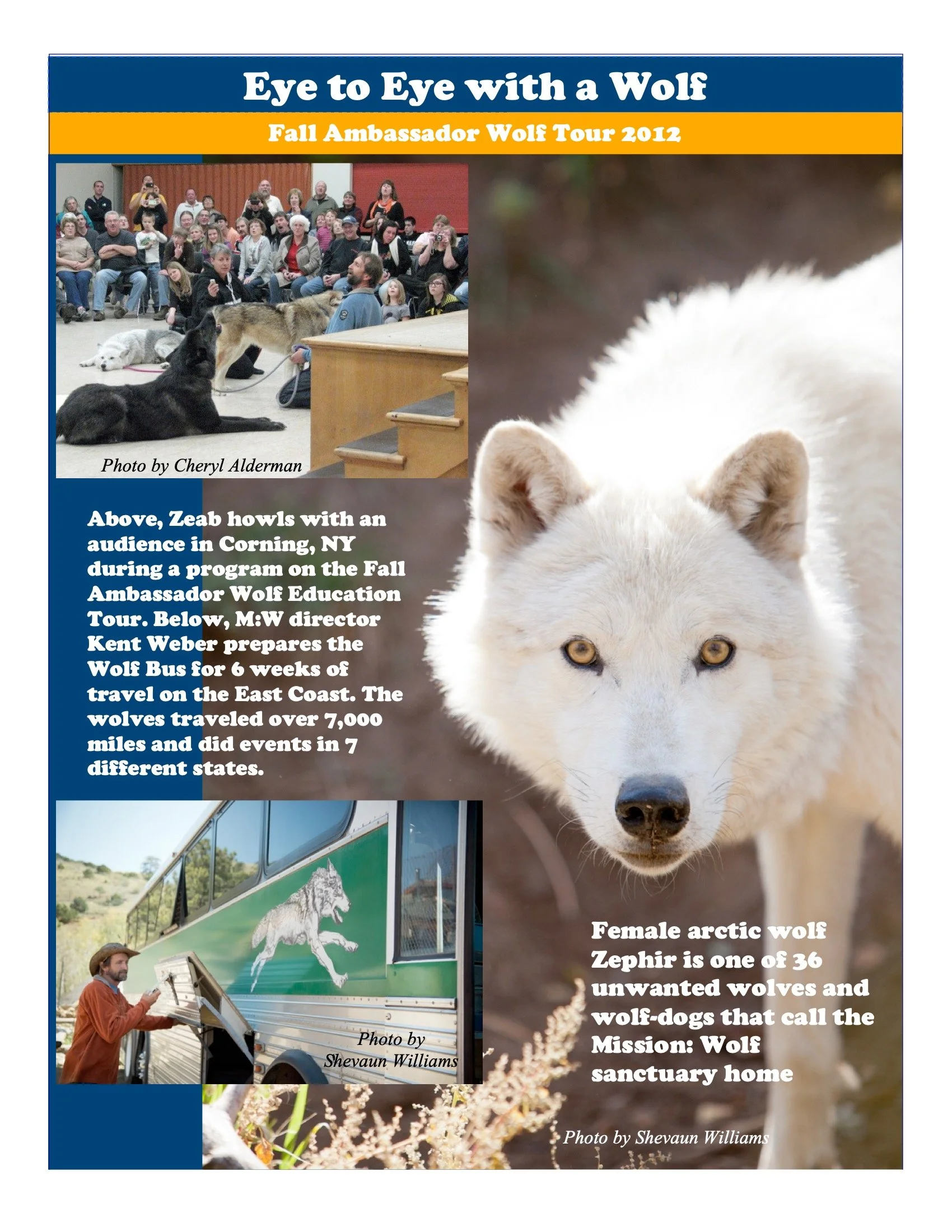 Holiday-Newsletter-2012 4.jpeg