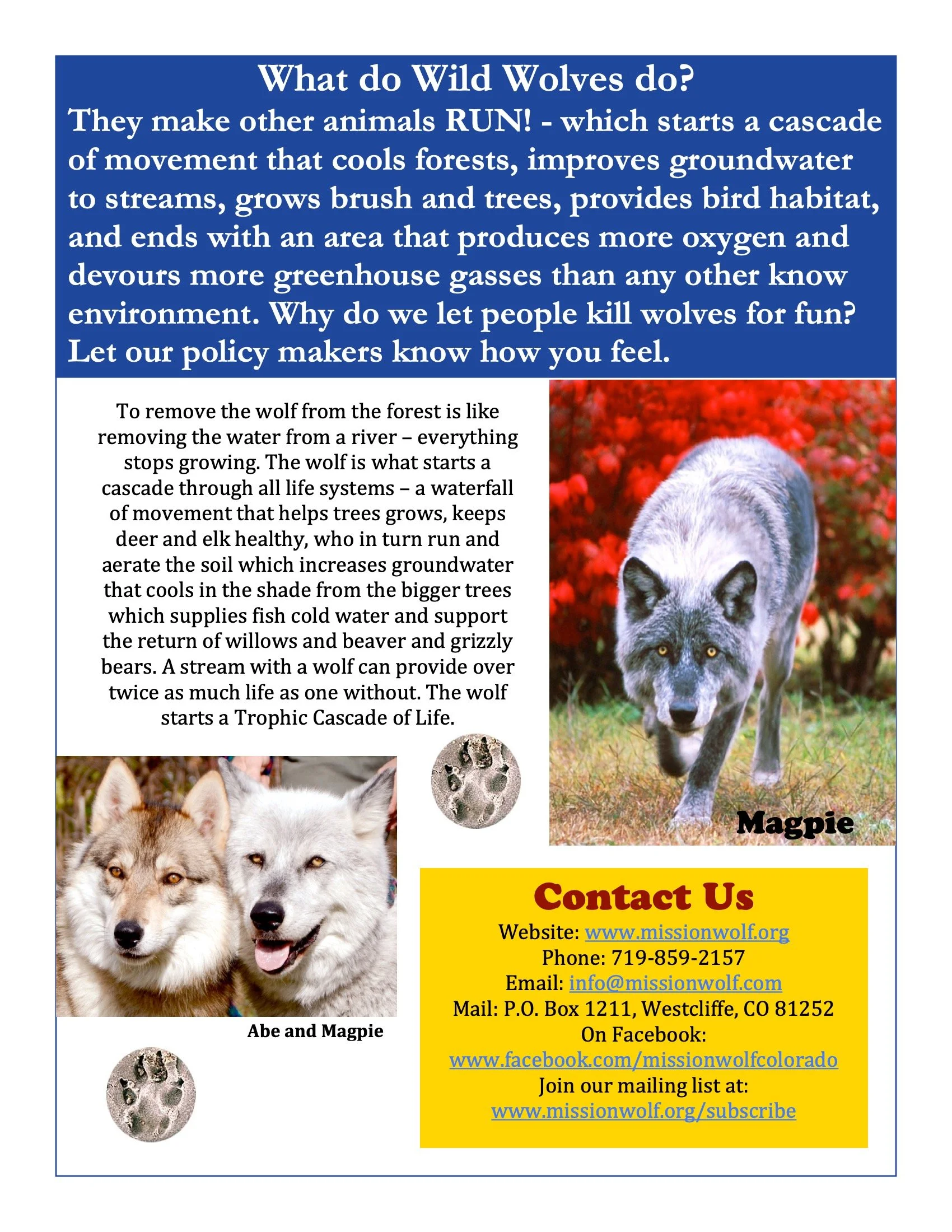 Holiday-Newsletter-2012 6.jpeg