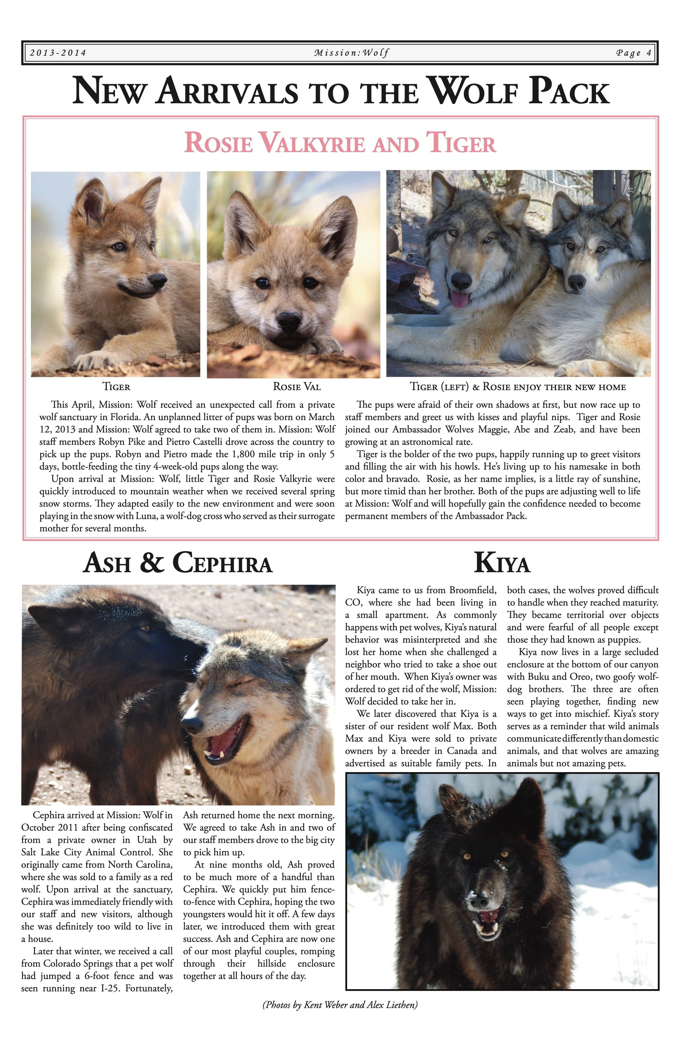 2013-Mission-Wolf-Newsletter 4.jpeg