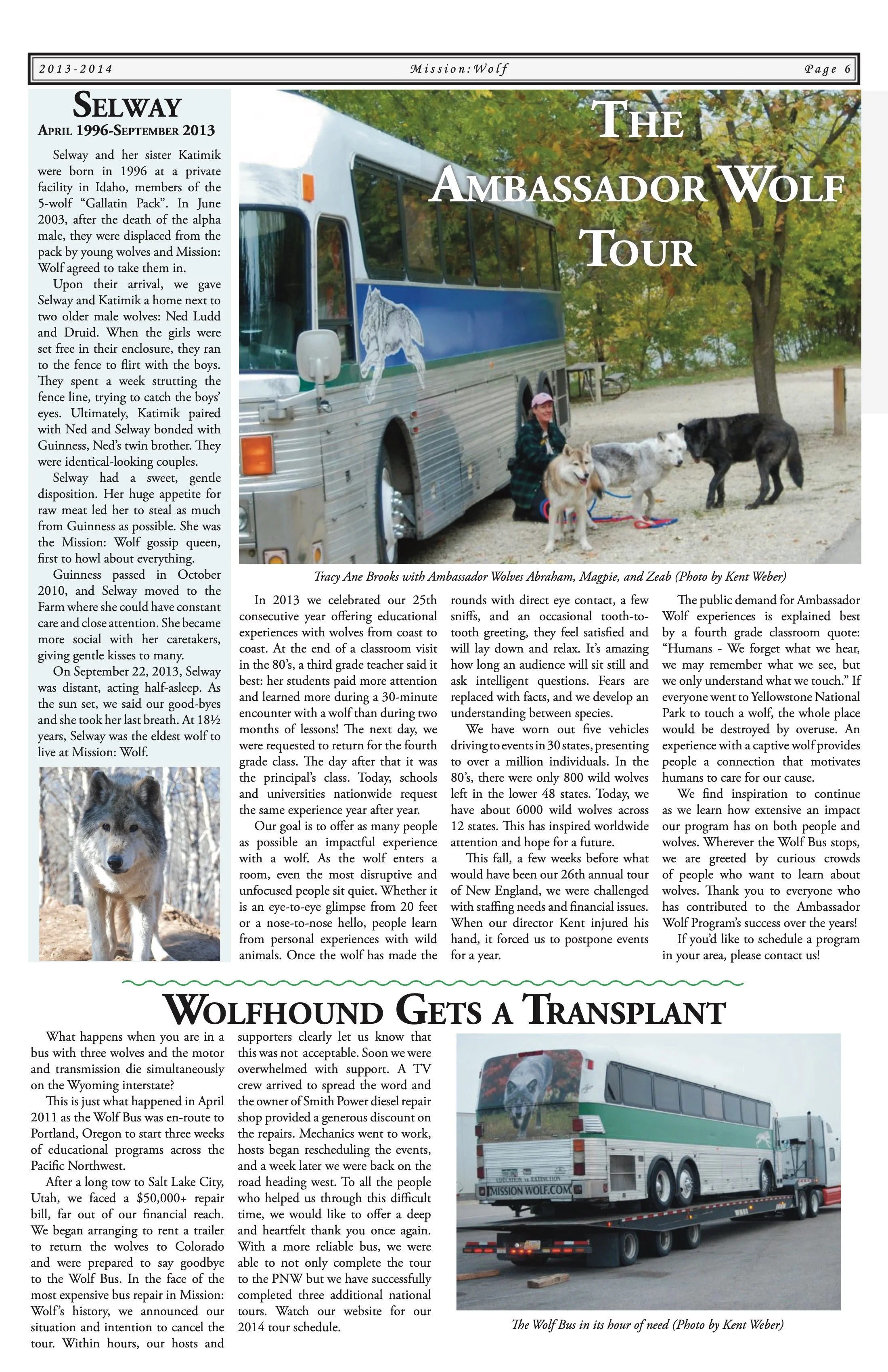 2013-Mission-Wolf-Newsletter 6.jpeg