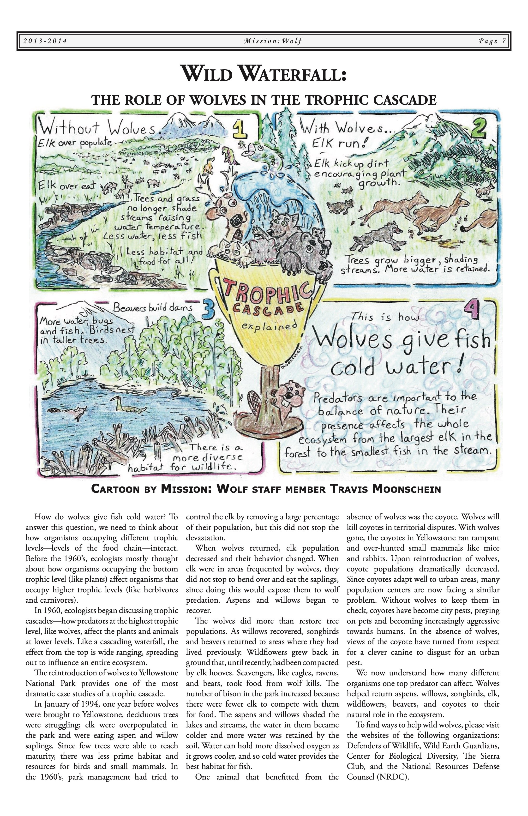 2013-Mission-Wolf-Newsletter 7.jpeg