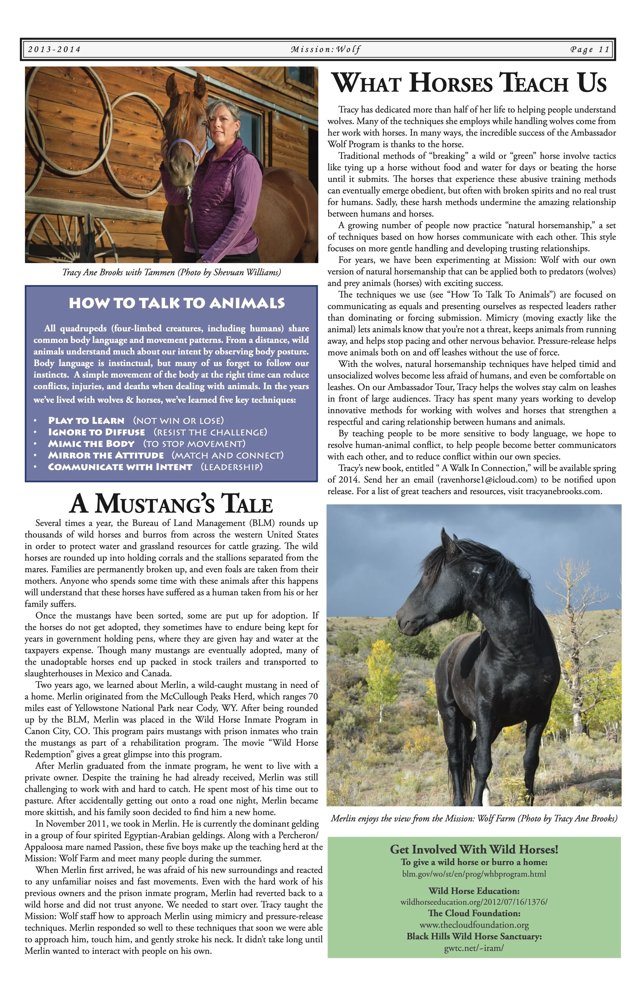 2013-Mission-Wolf-Newsletter 10.jpeg