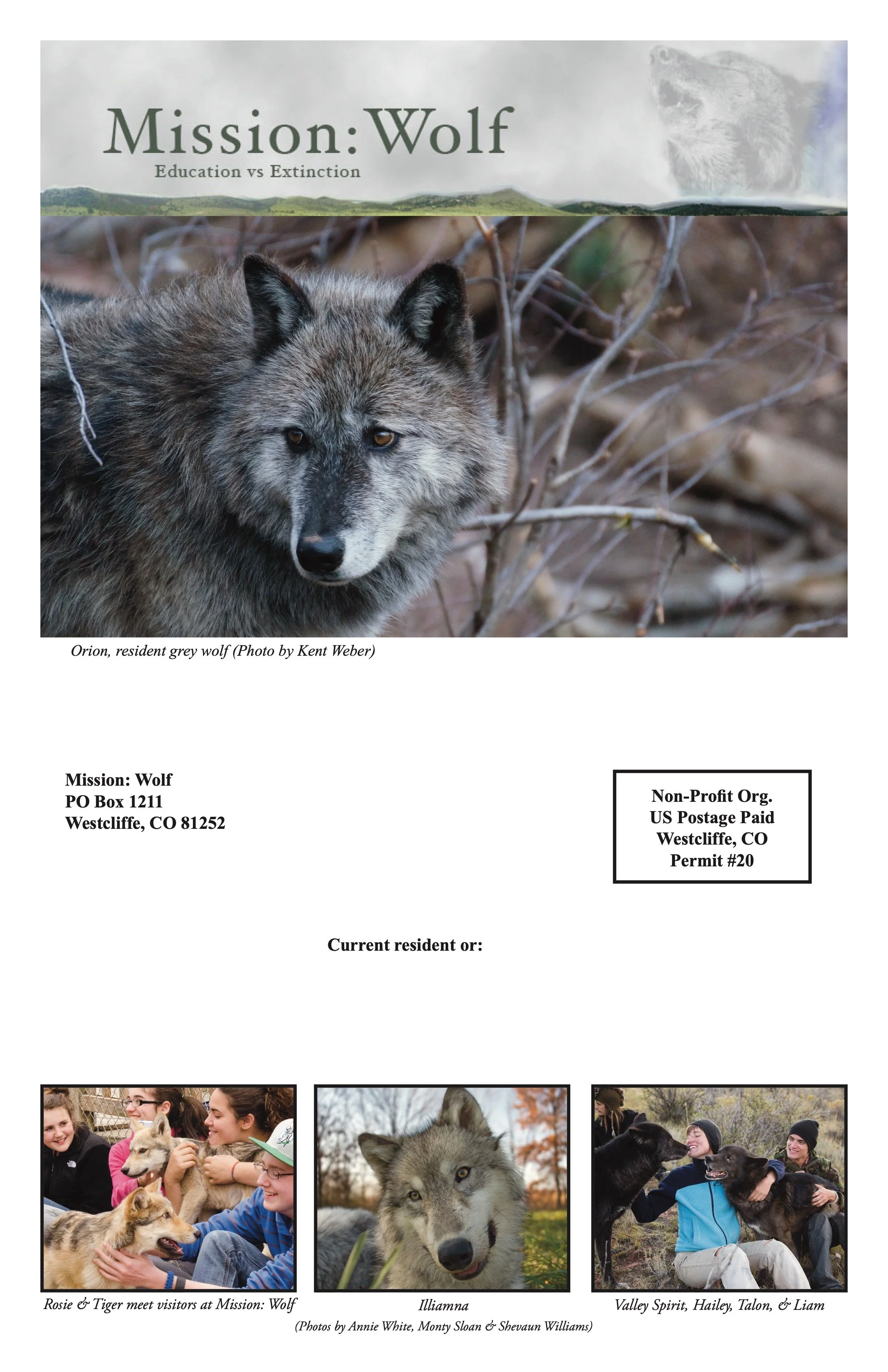 2013-Mission-Wolf-Newsletter 15.jpeg