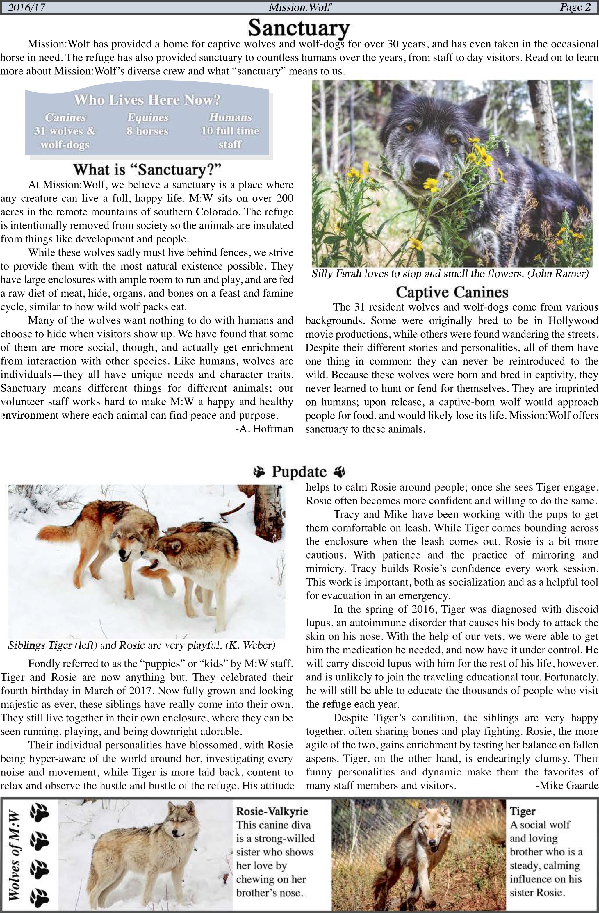 2017-Mission-Wolf-Newsletter 2.jpeg