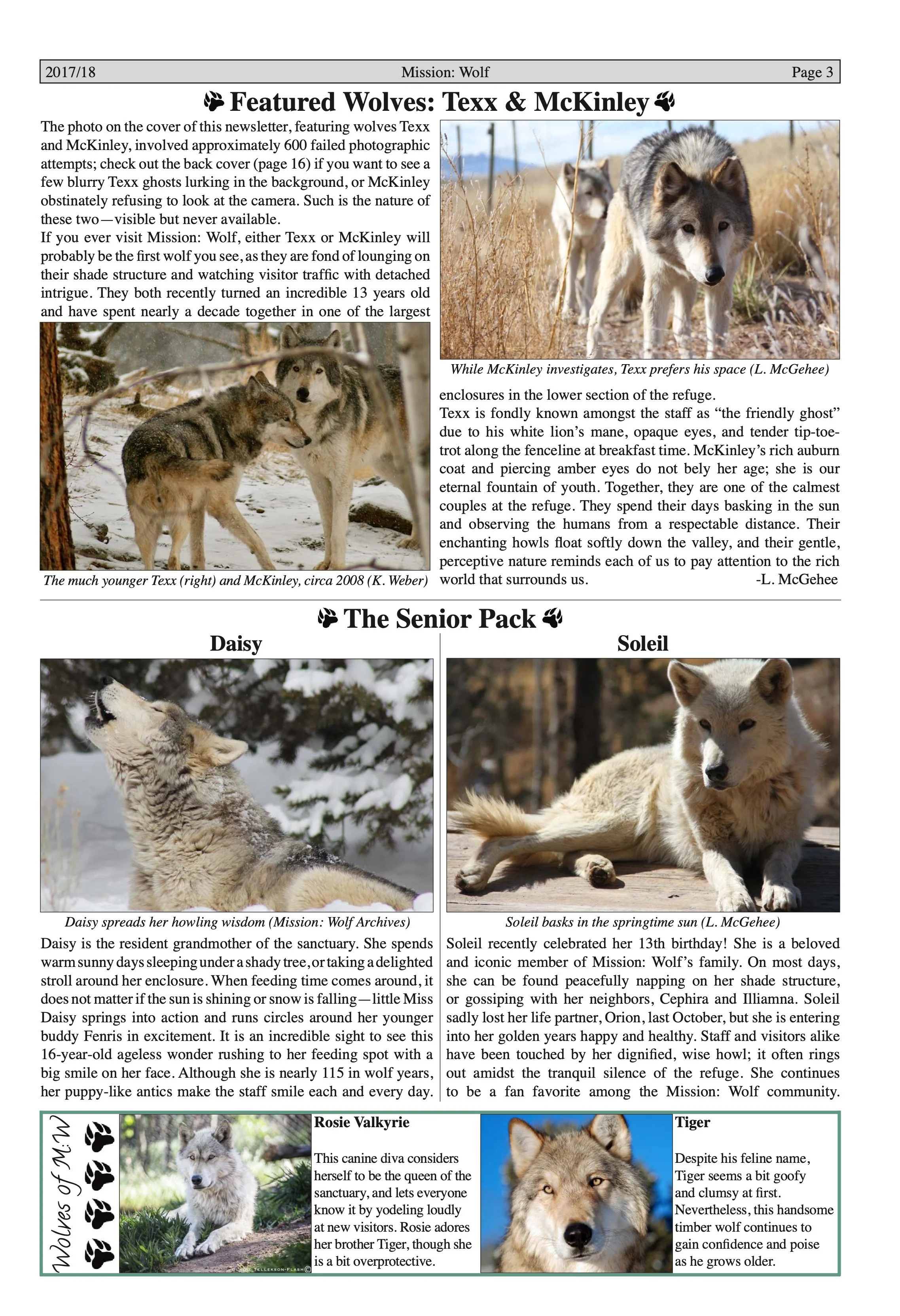 Wolf-Visions-2018 3.jpeg