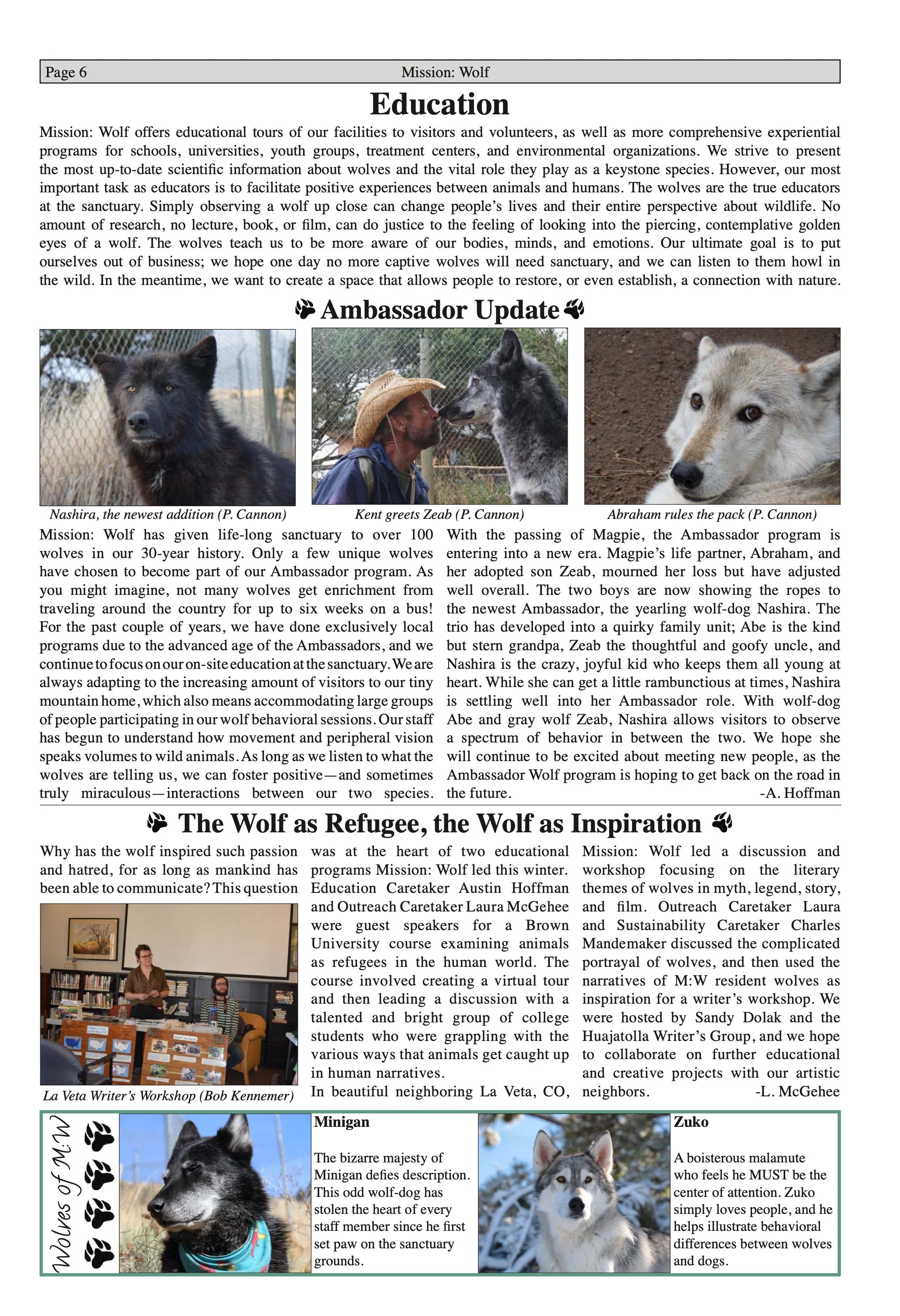 Wolf-Visions-2018 6.jpeg