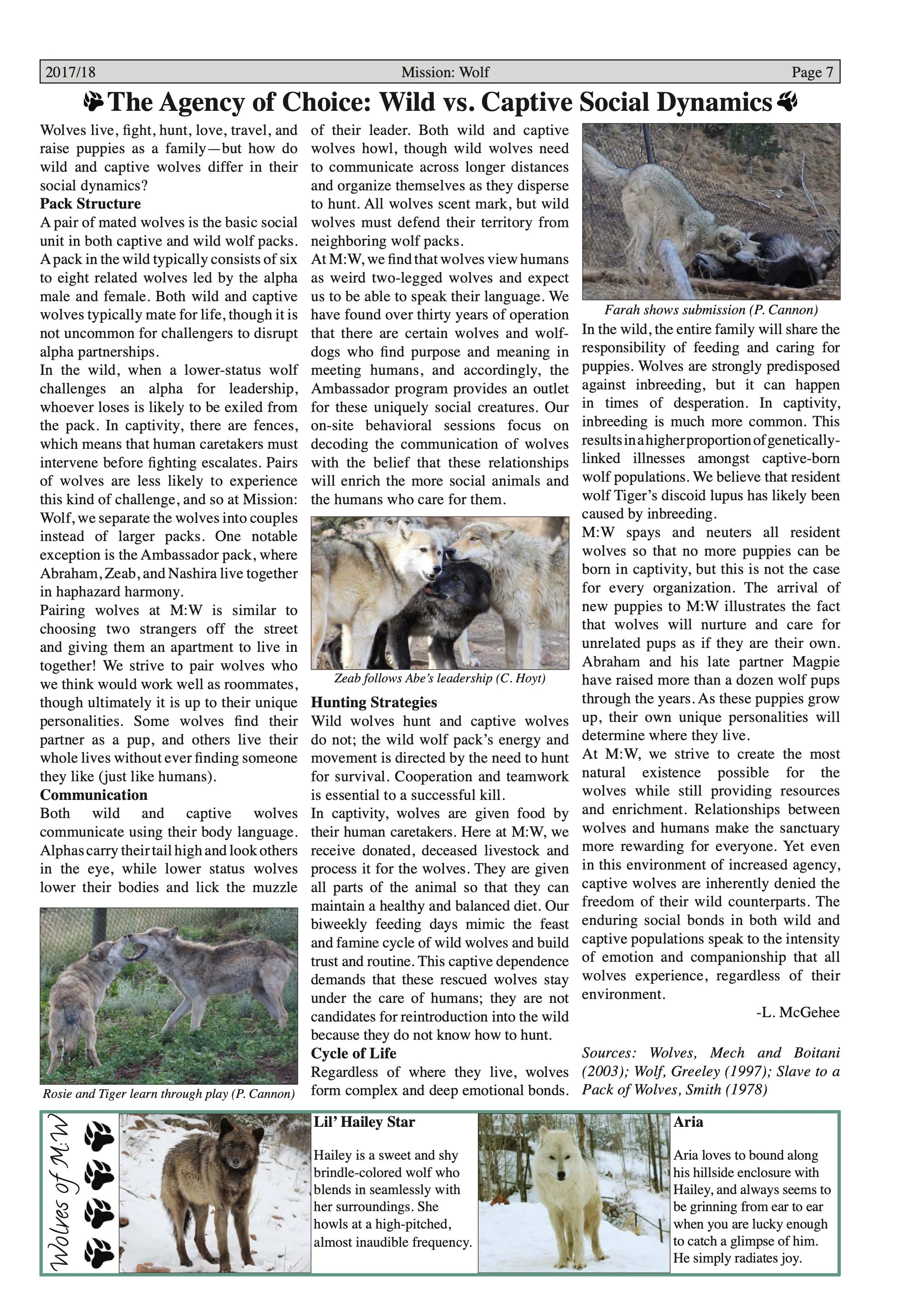 Wolf-Visions-2018 7.jpeg