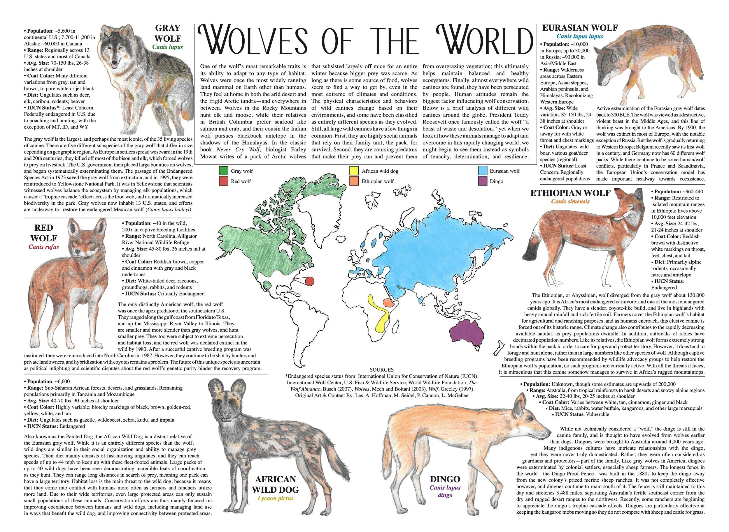 Wolf-Visions-2018 8.jpeg