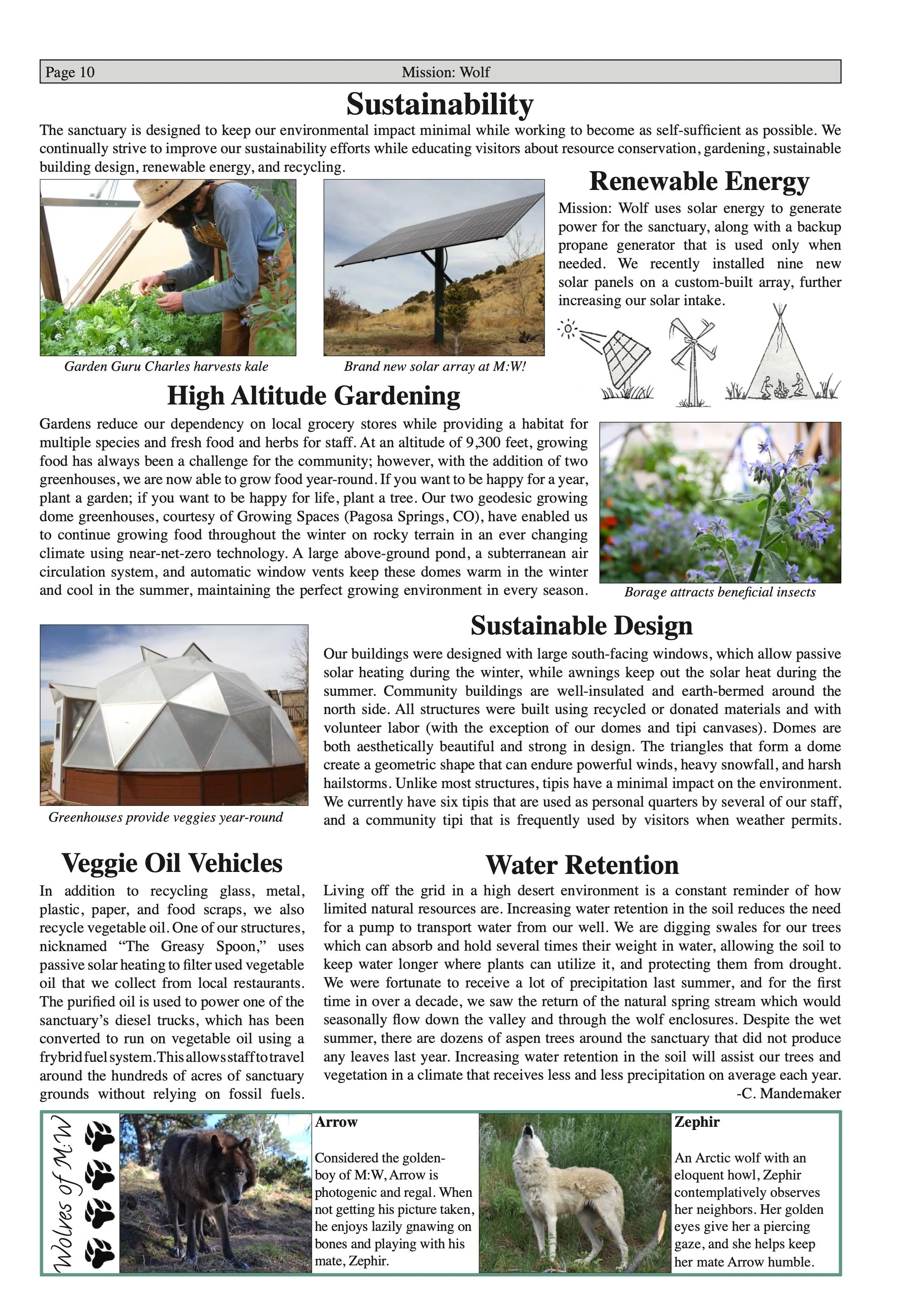 Wolf-Visions-2018 9.jpeg