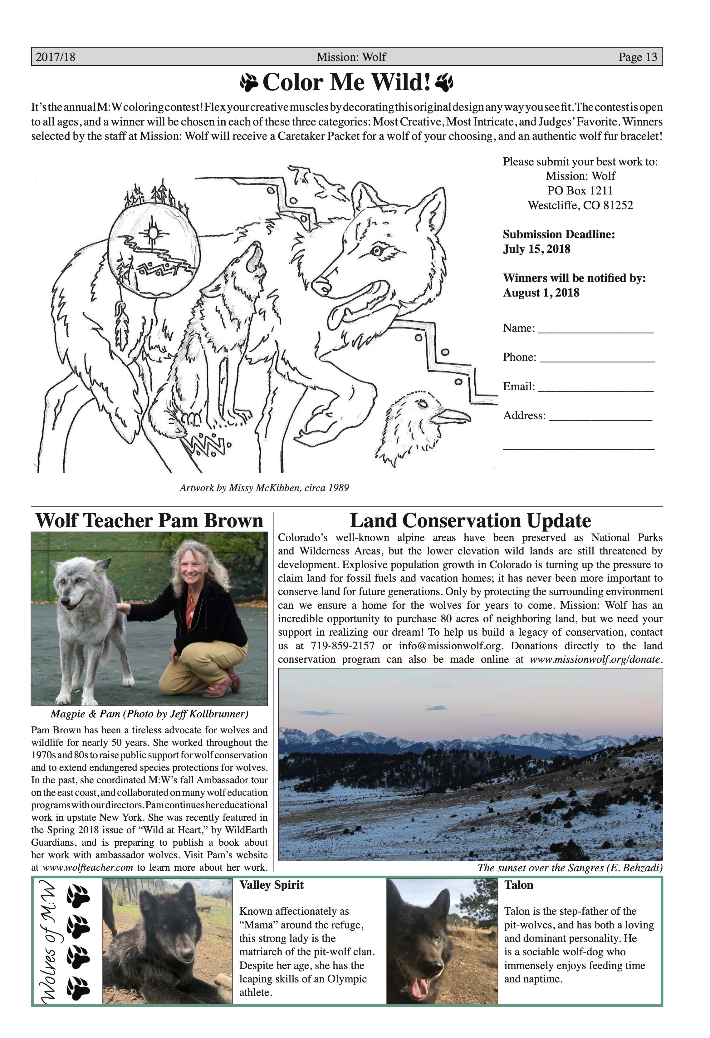 Wolf-Visions-2018 12.jpeg