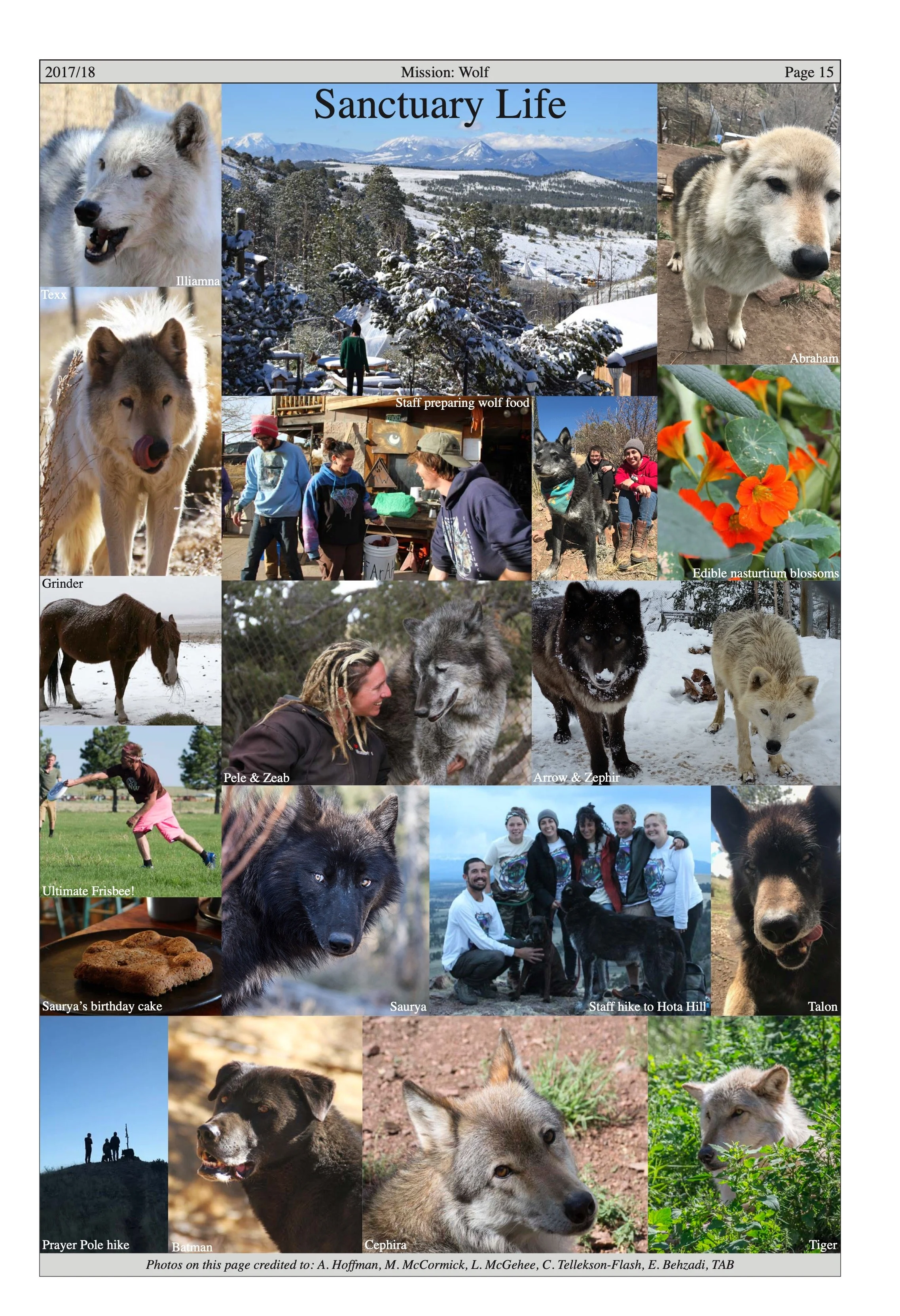 Wolf-Visions-2018 14.jpeg