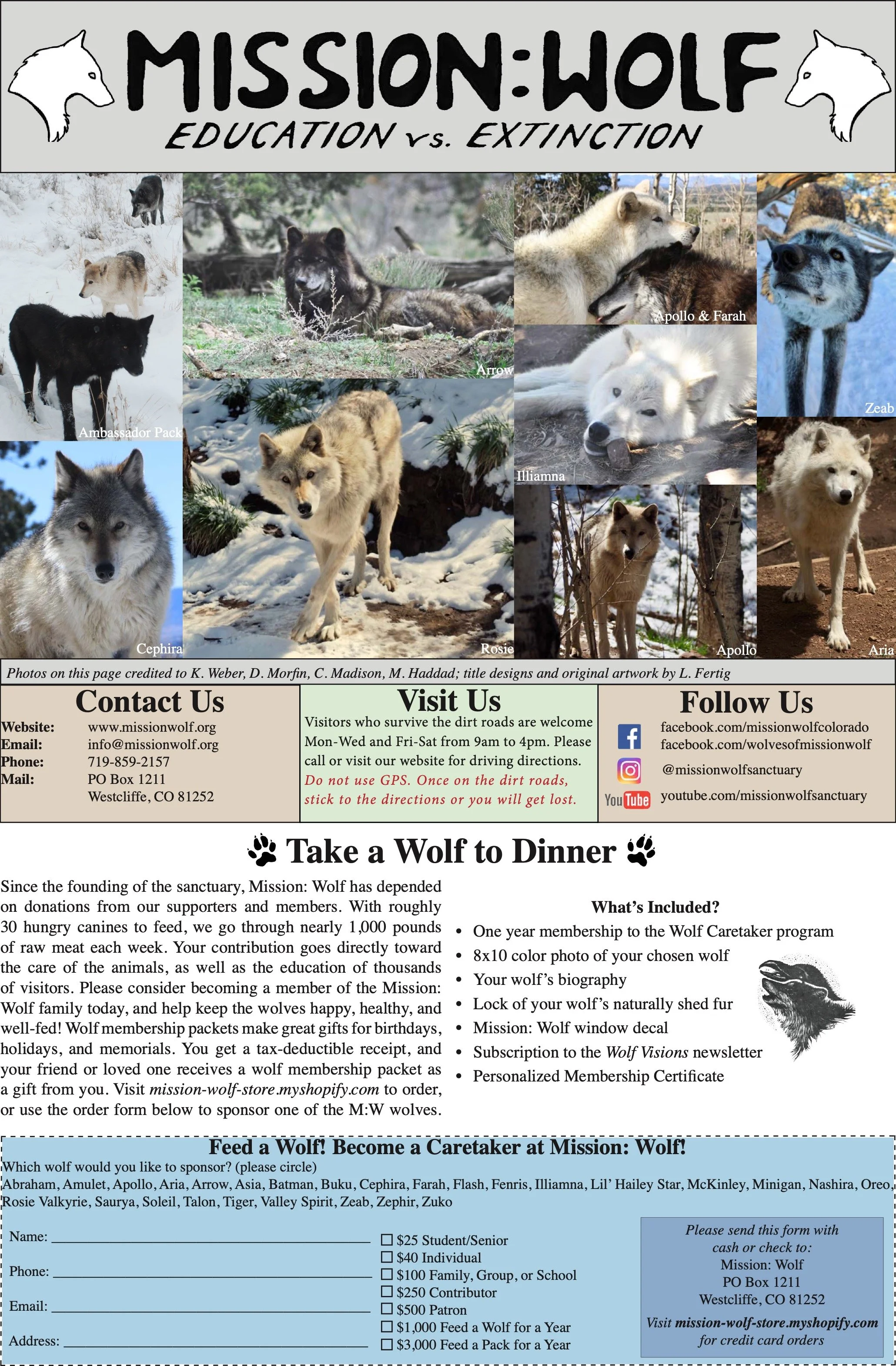 SummerUpdate2019 4.jpeg