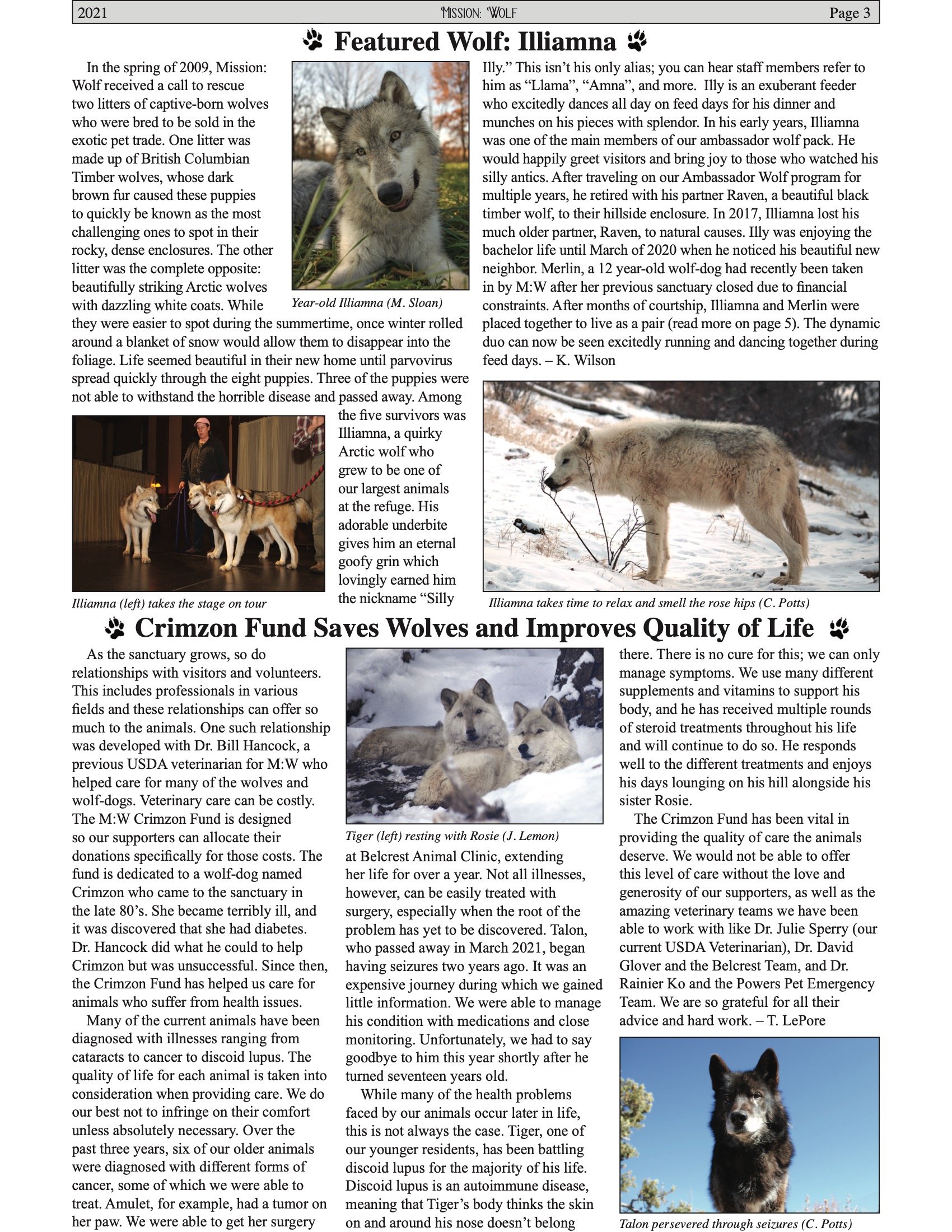 MWNewsletter2021 3.jpeg