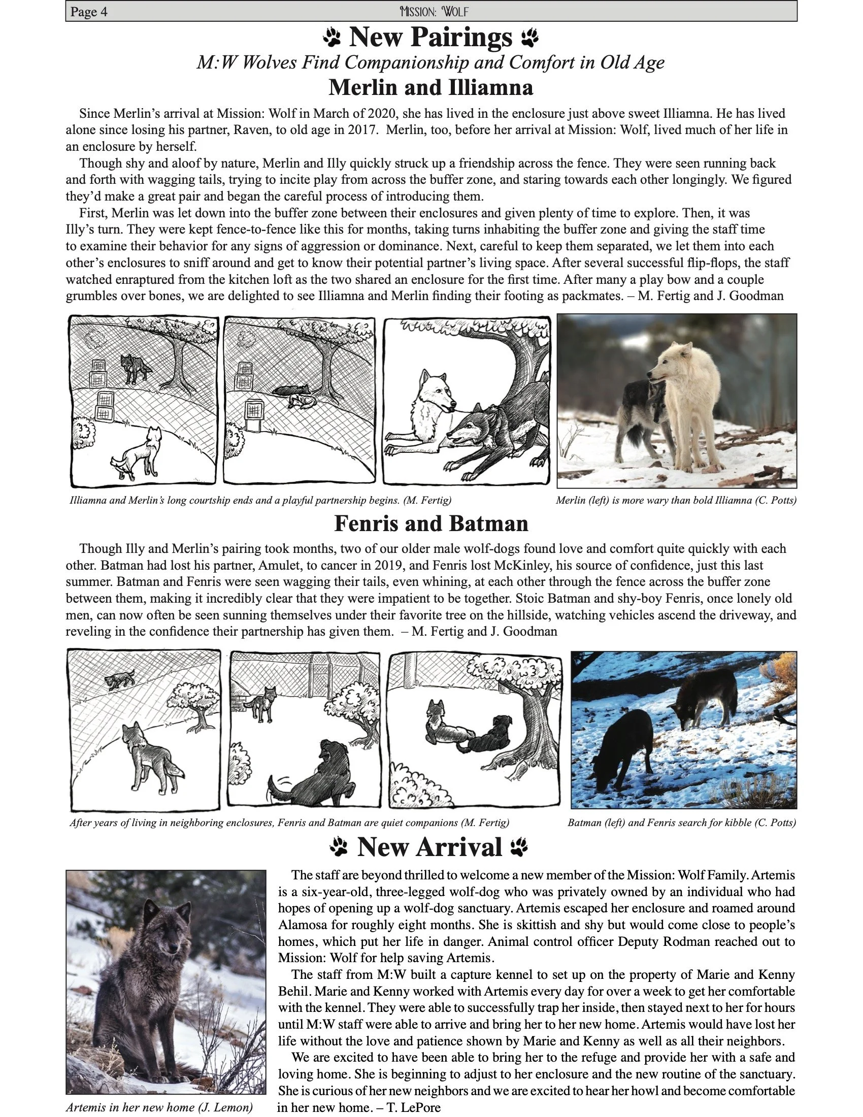 MWNewsletter2021 4.jpeg