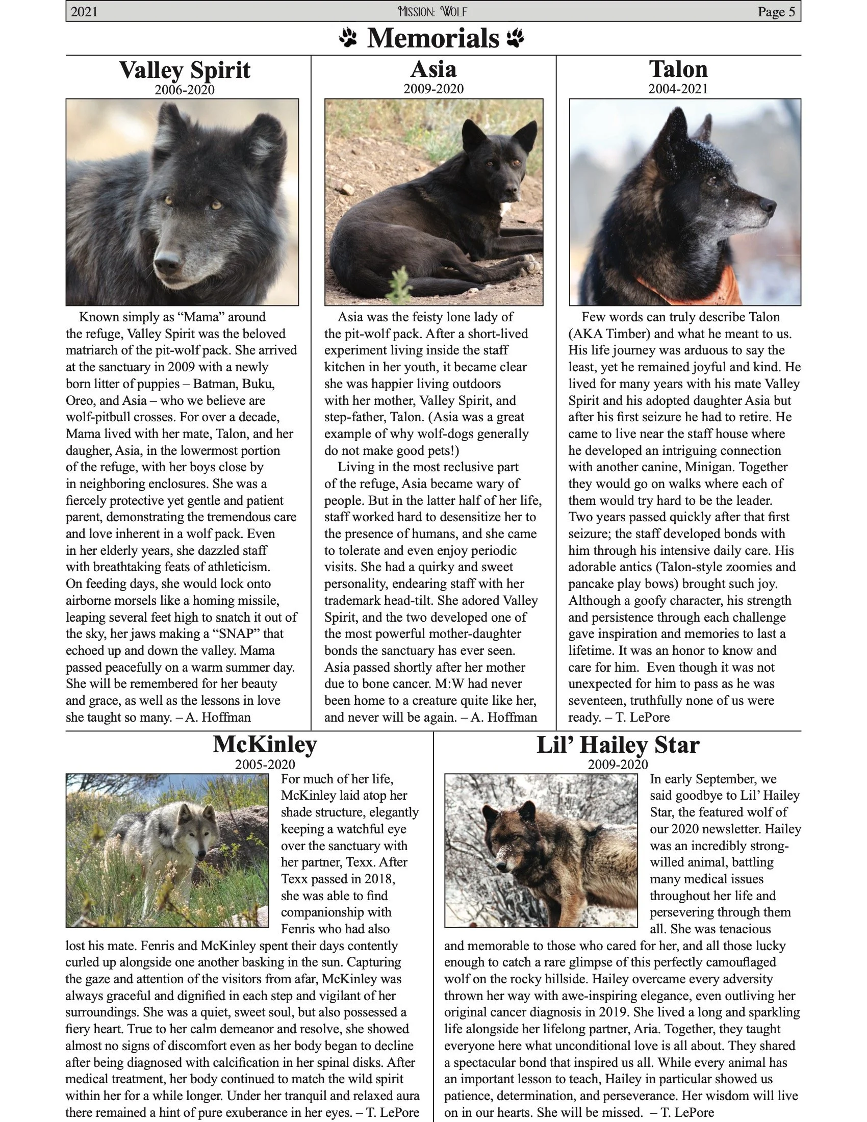 MWNewsletter2021 5.jpeg