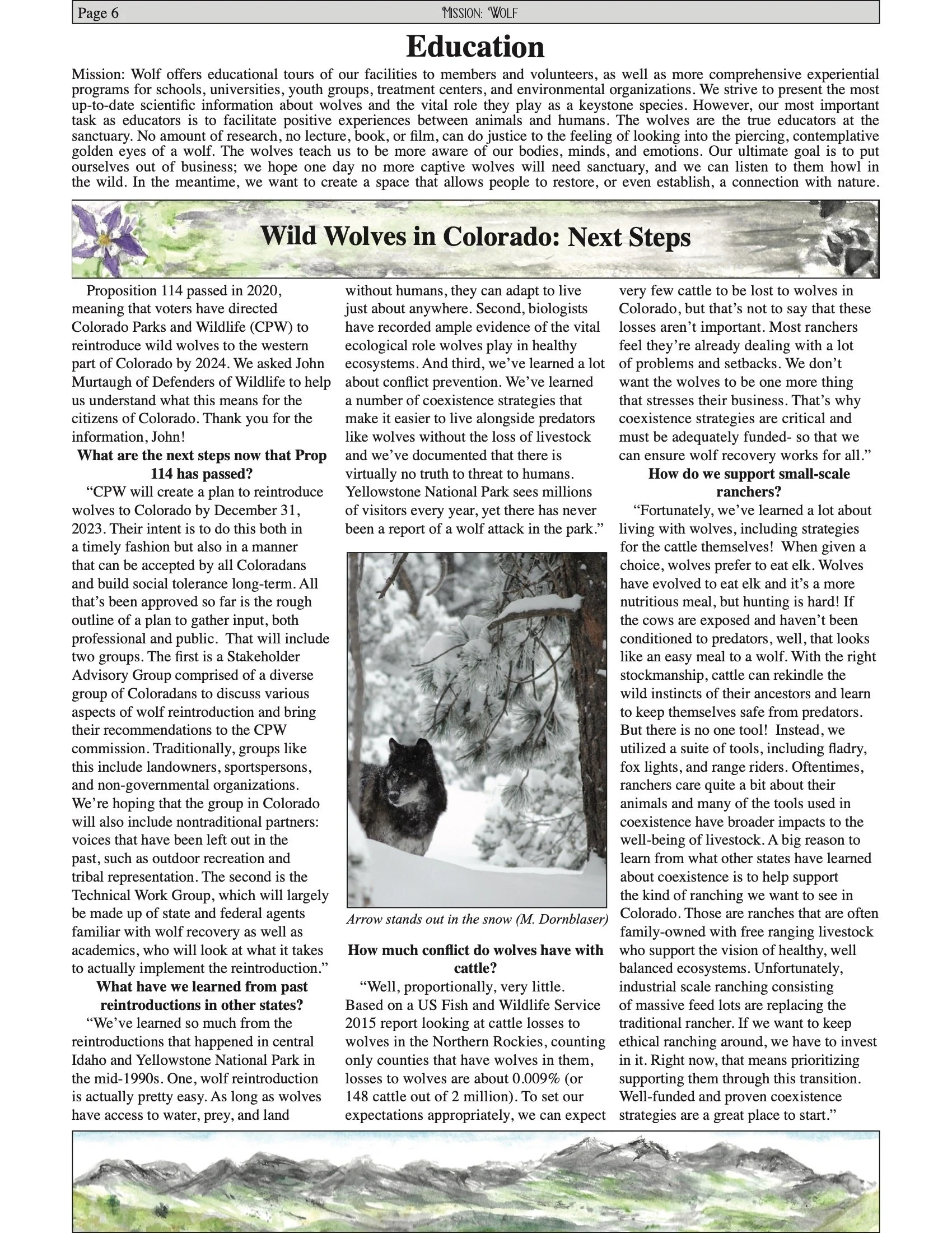 MWNewsletter2021 6.jpeg