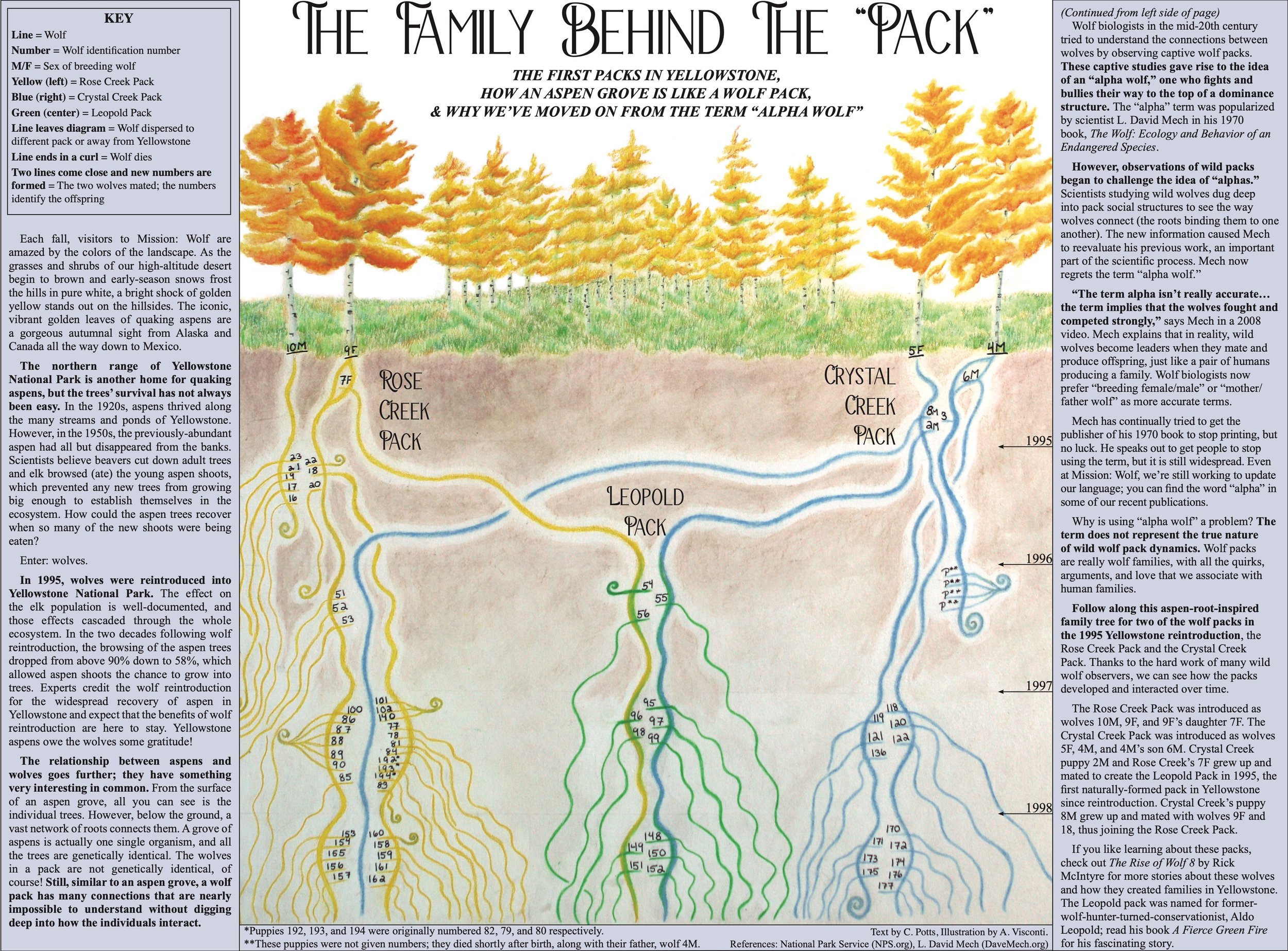 MWNewsletter2021 8.jpeg