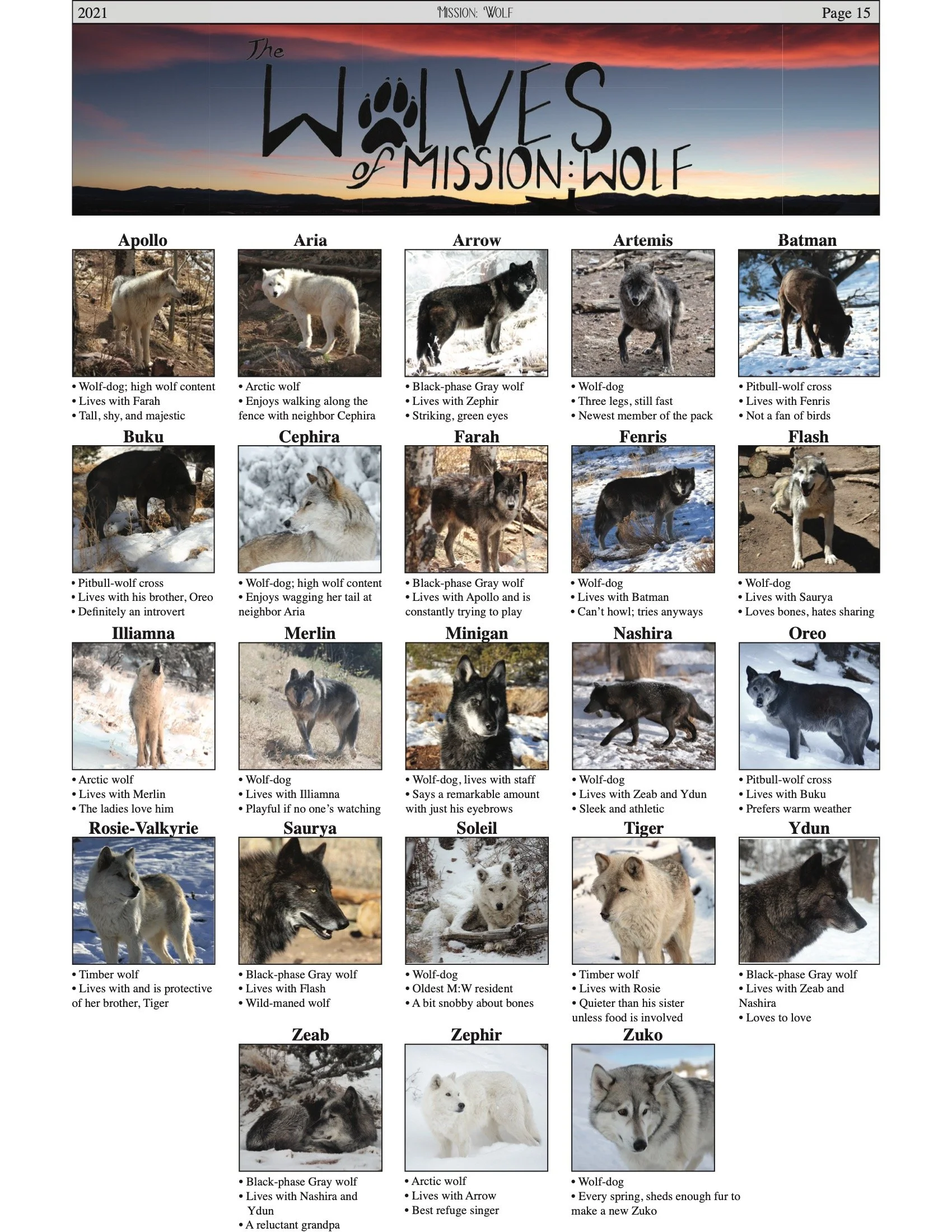 MWNewsletter2021 14.jpeg