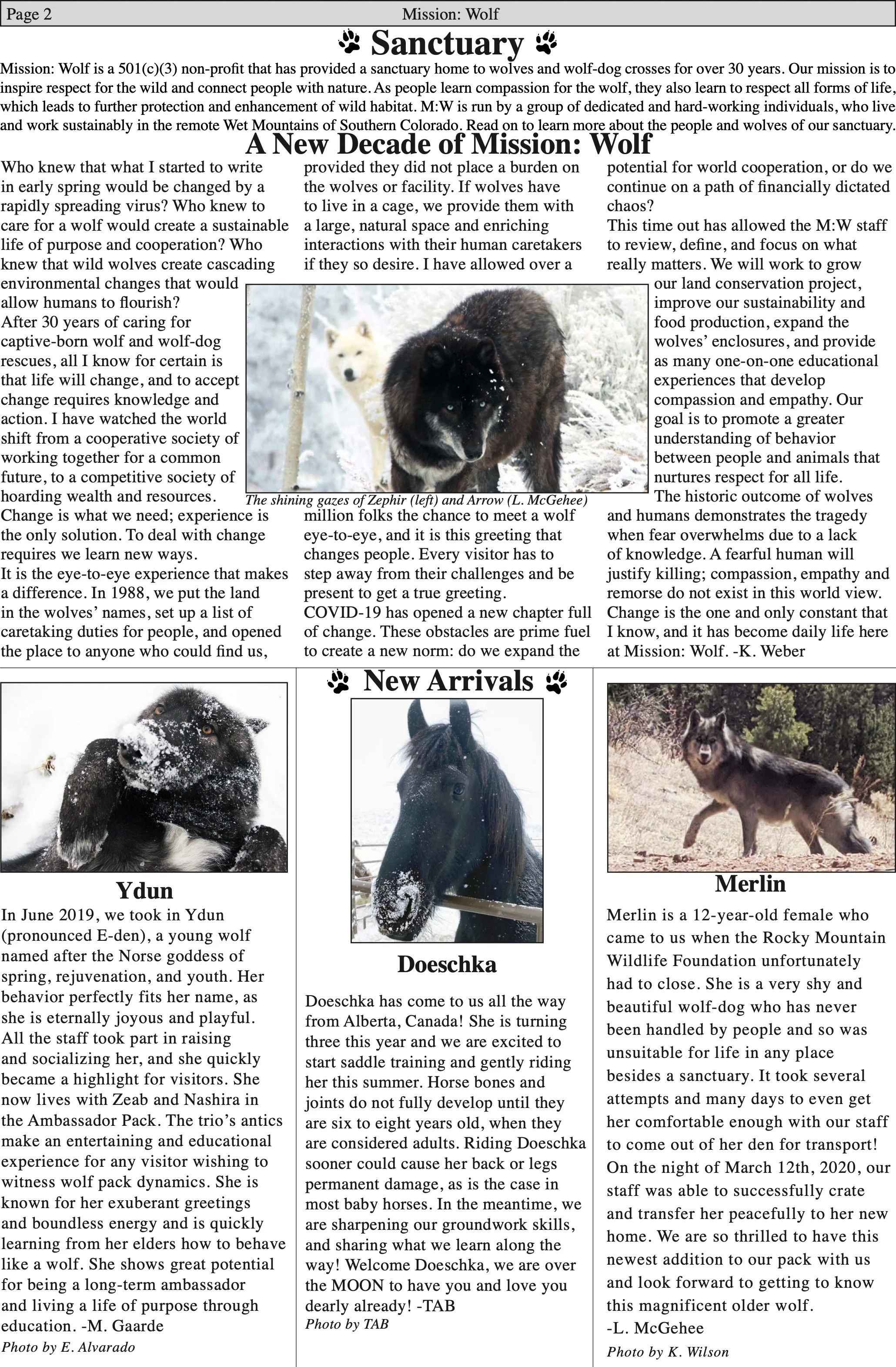 WolfVisions2020OnlineVersion 2.jpeg