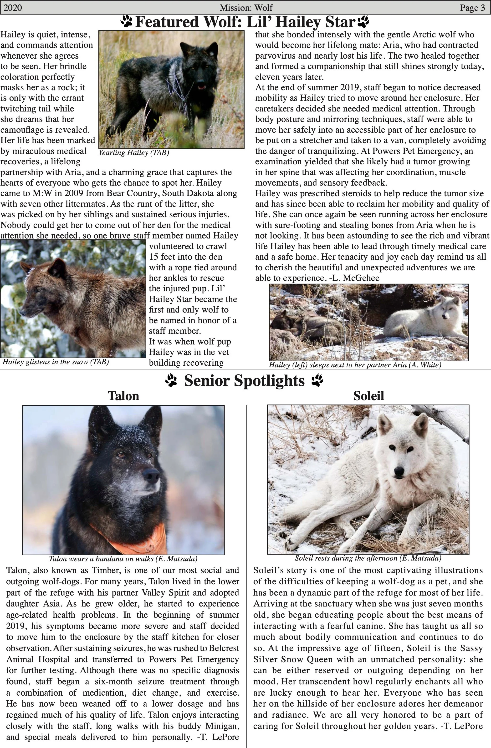 WolfVisions2020OnlineVersion 3.jpeg